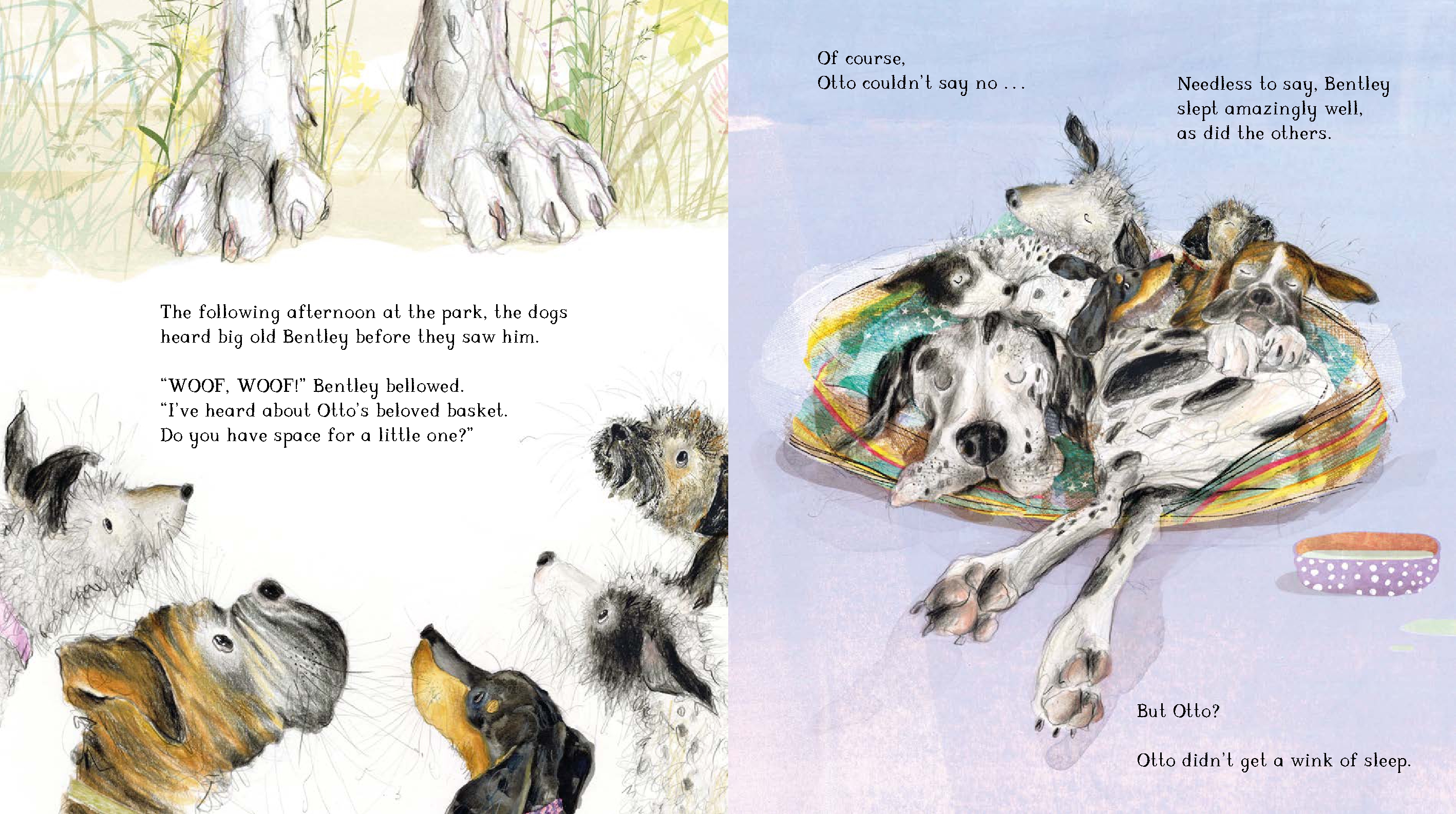 Otto the Top Dog