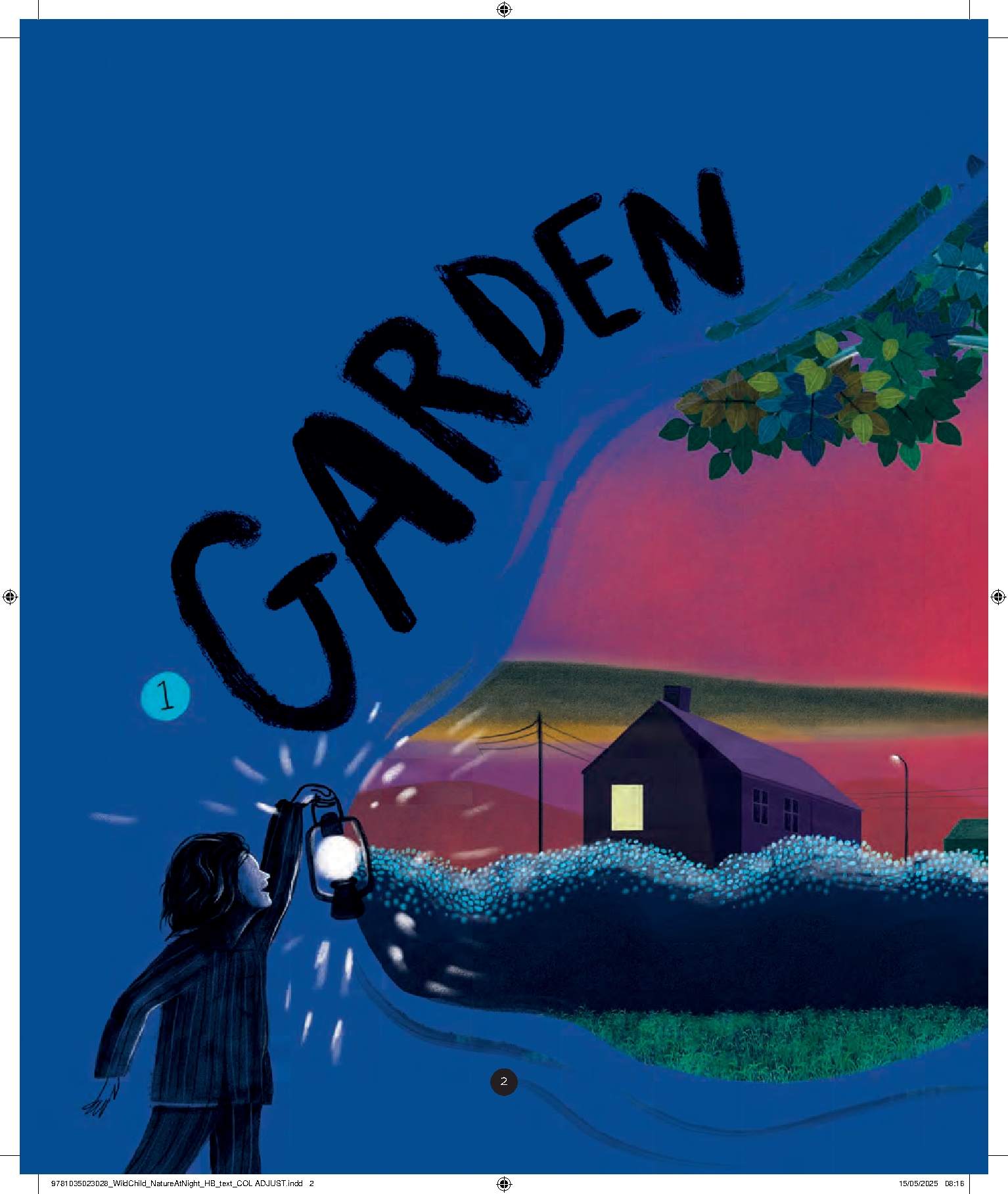 A Wild Child's Guide to Nature at Night