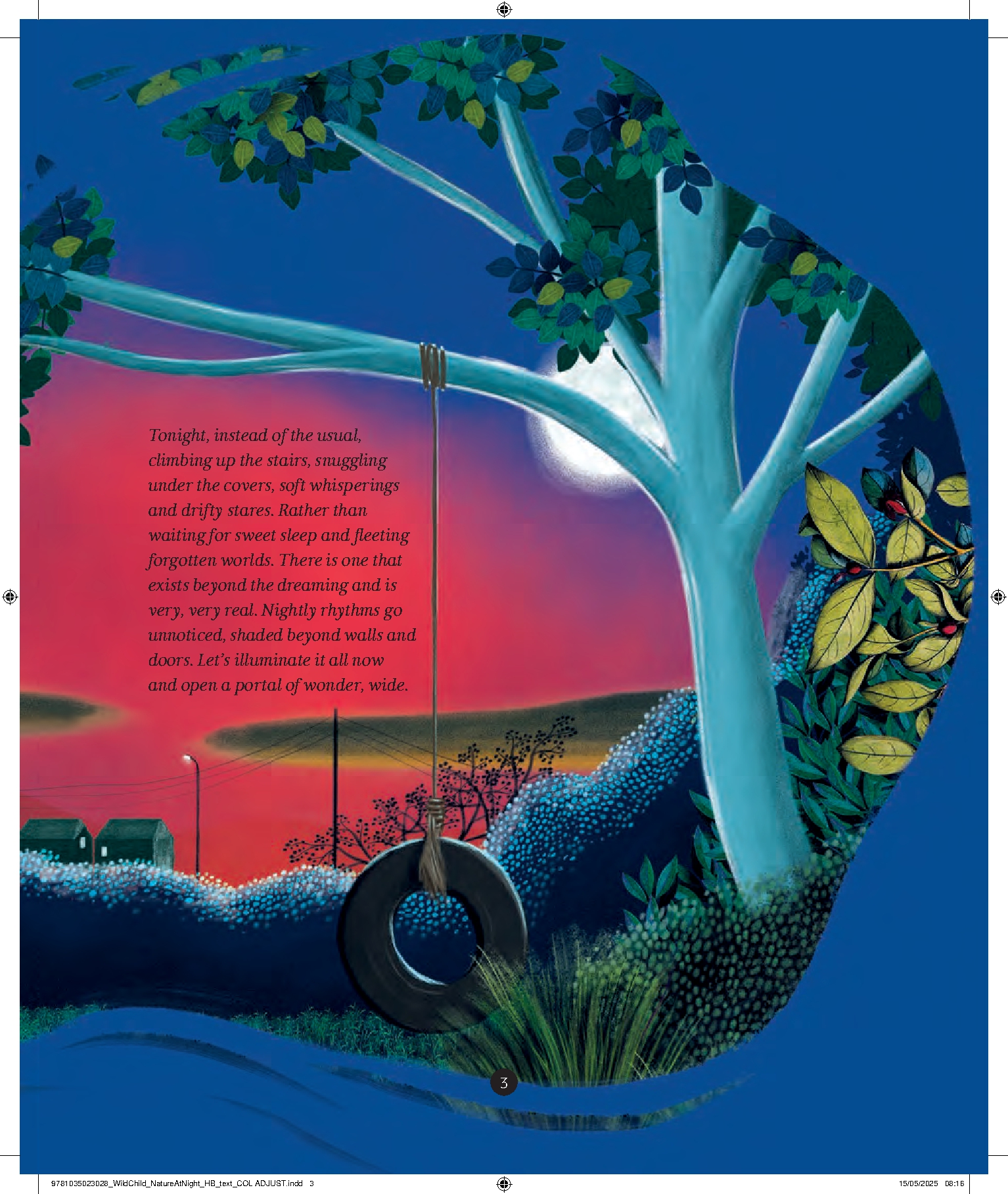 A Wild Child's Guide to Nature at Night