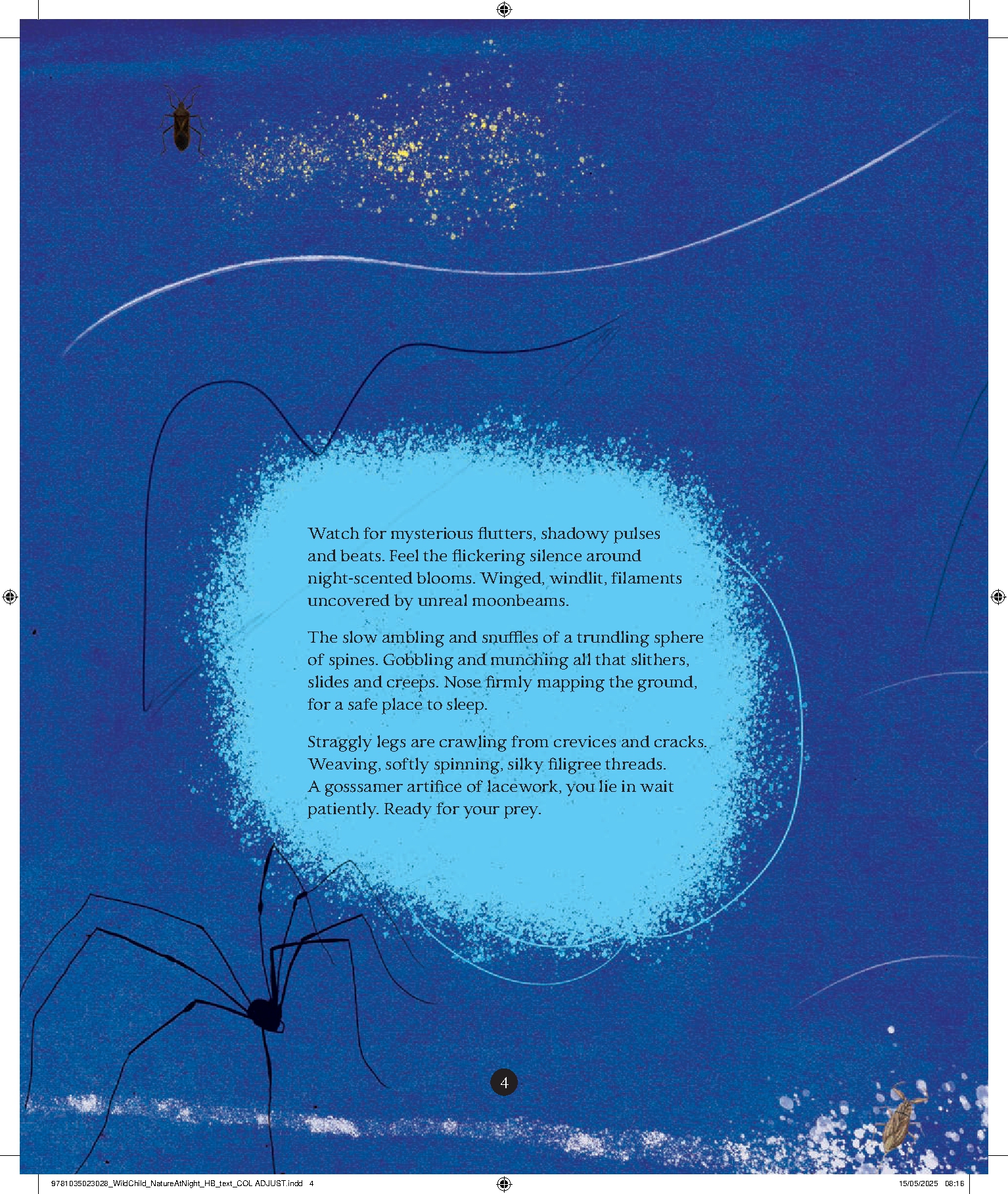 A Wild Child's Guide to Nature at Night
