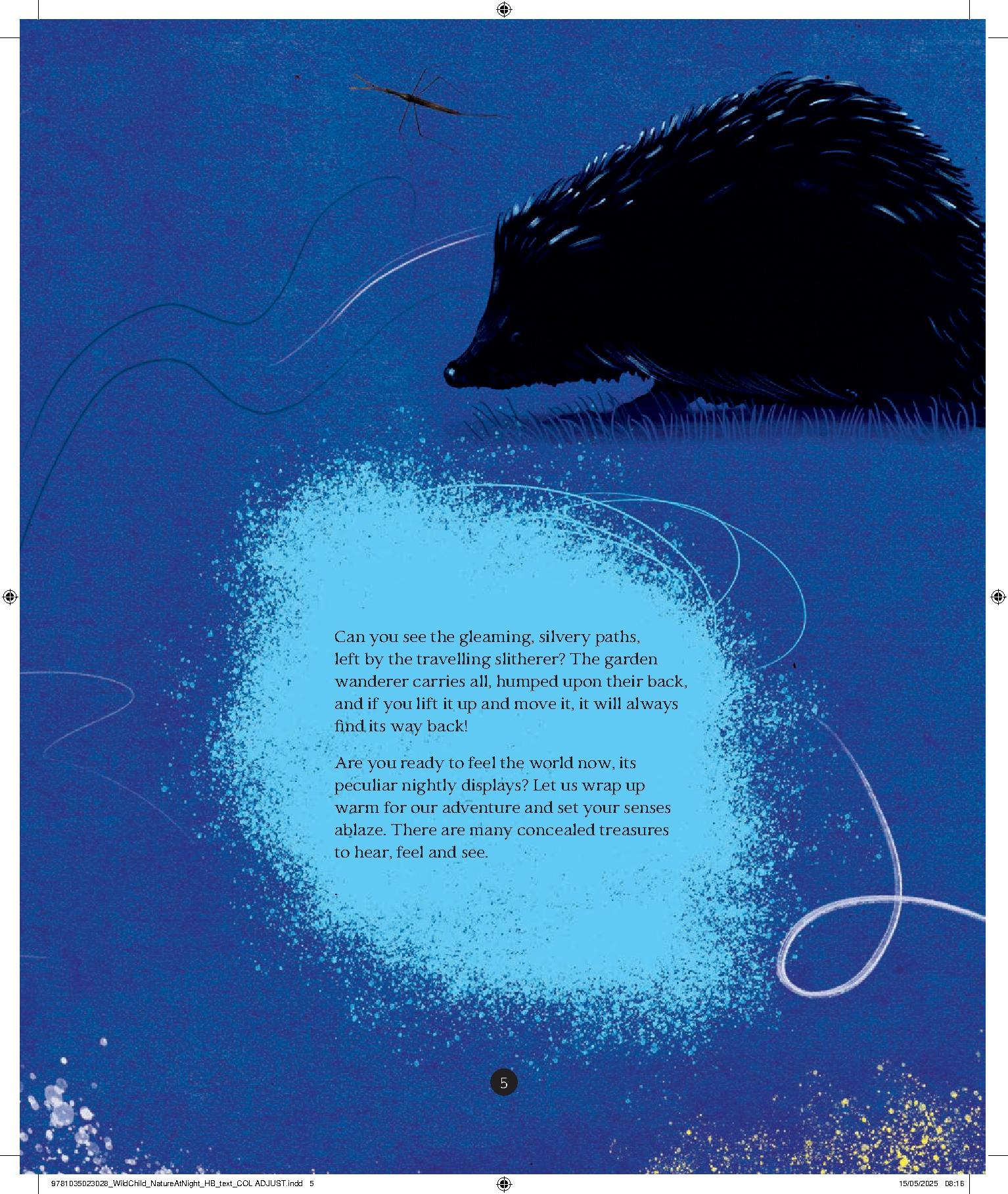 A Wild Child's Guide to Nature at Night