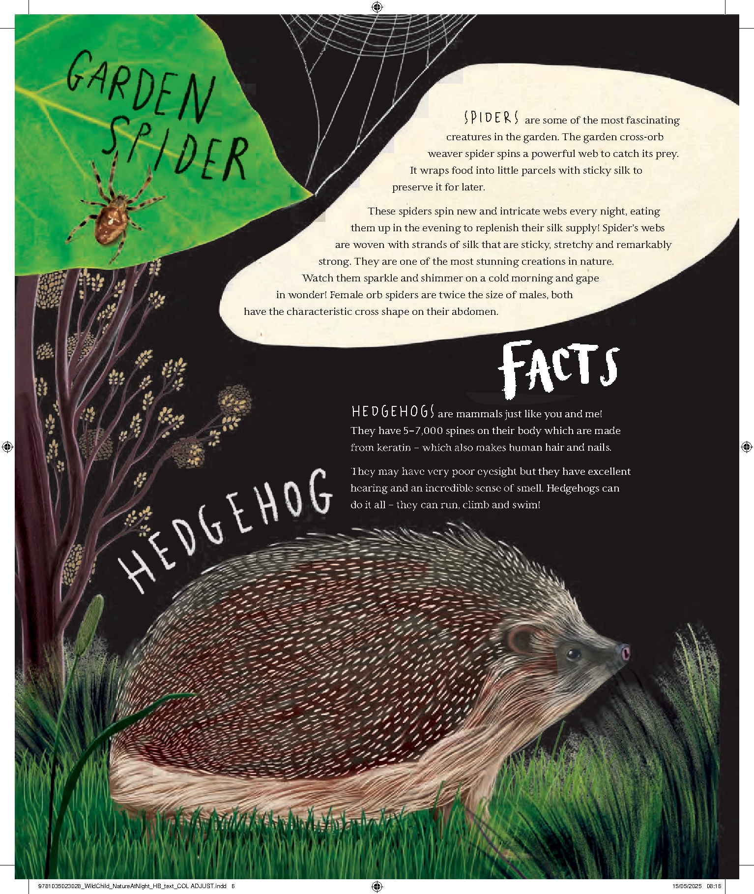 A Wild Child's Guide to Nature at Night