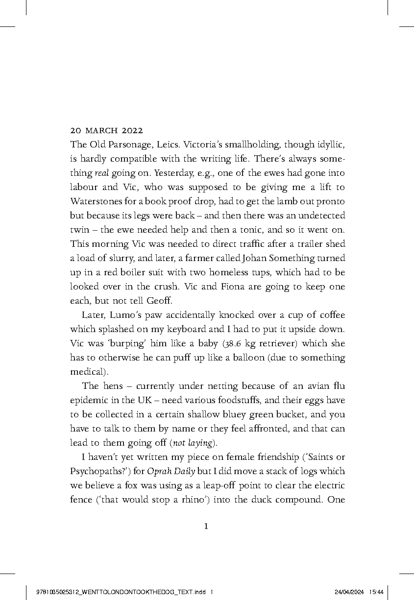 Went to London, Took the Dog