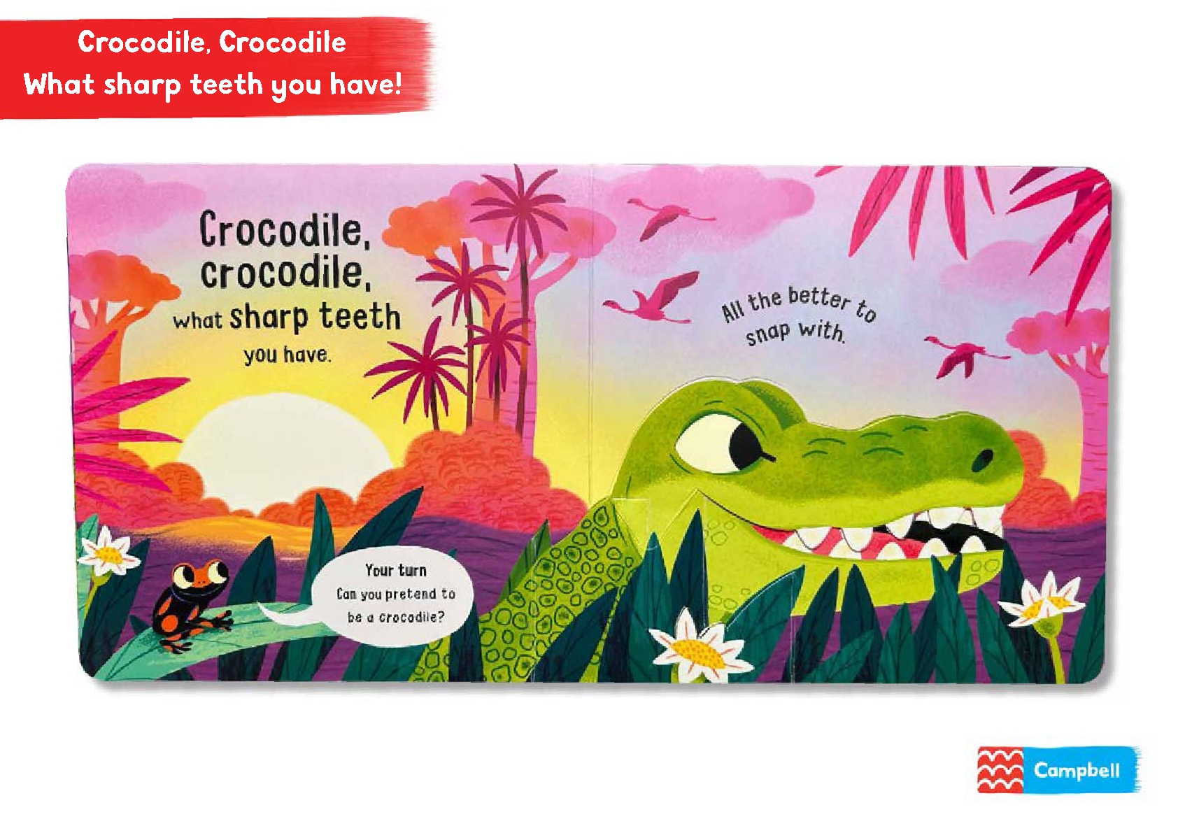 Crocodile, Crocodile, What Sharp Teeth You Have