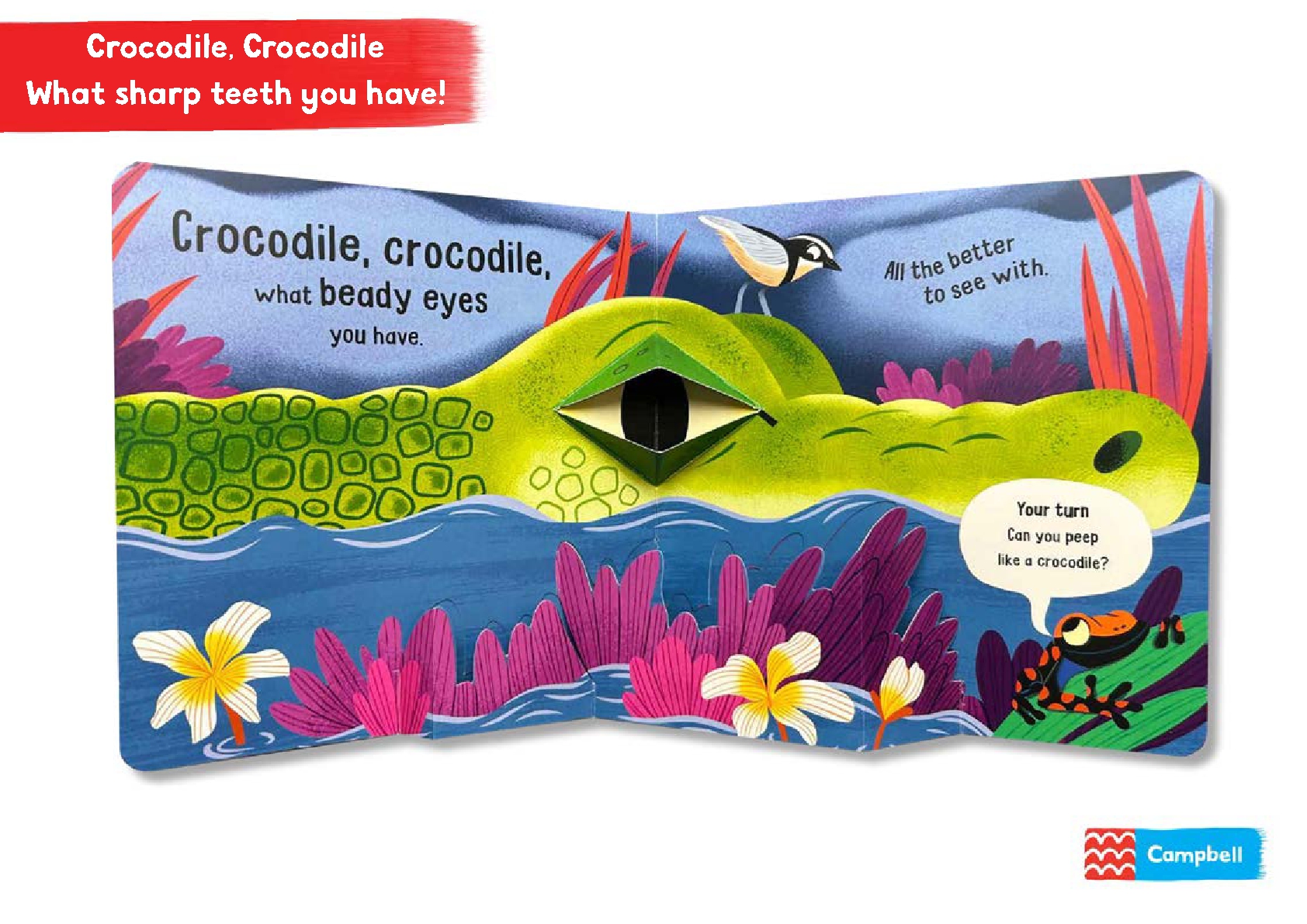 Crocodile, Crocodile, What Sharp Teeth You Have