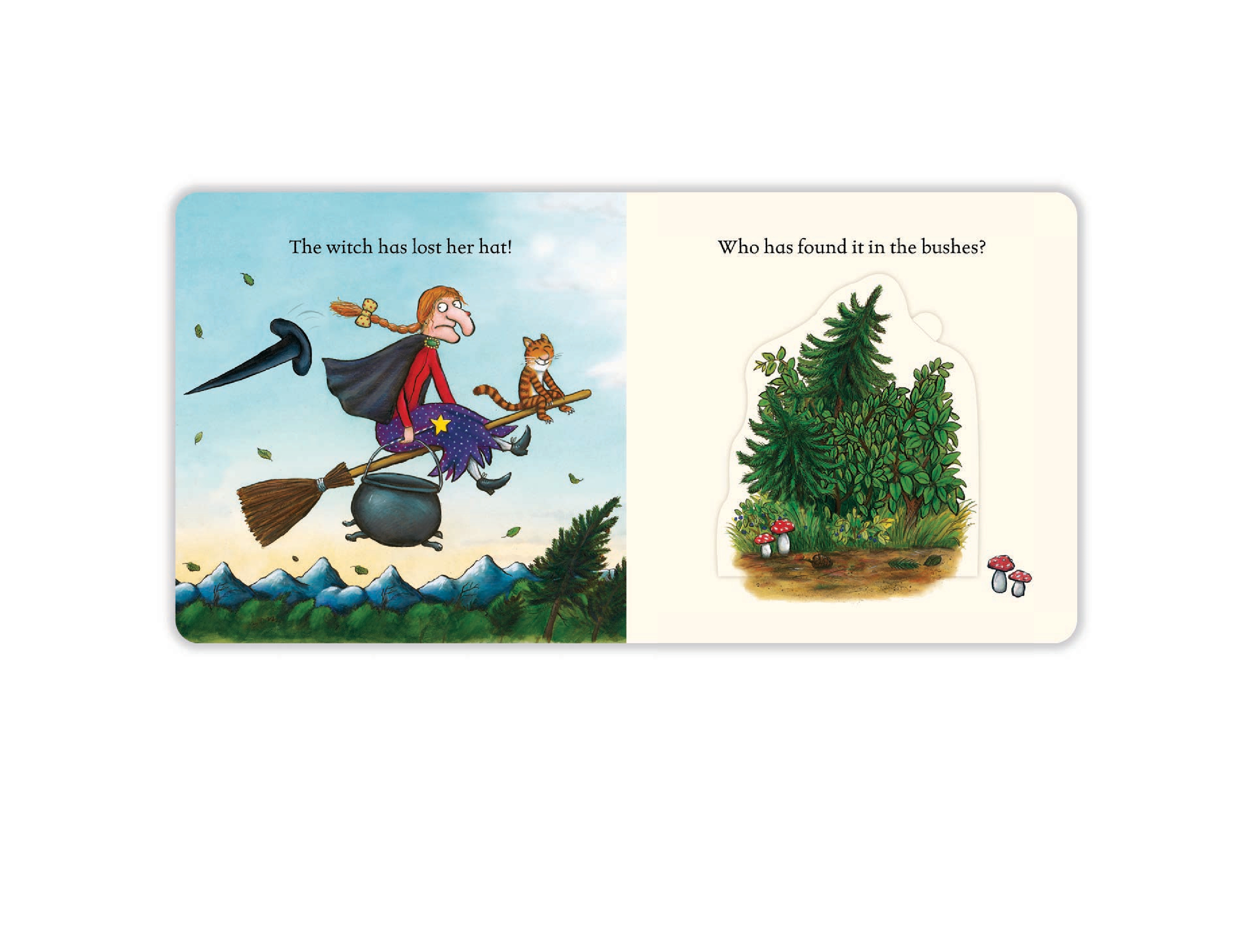 Room on the Broom: A Lift-the-Flap Book