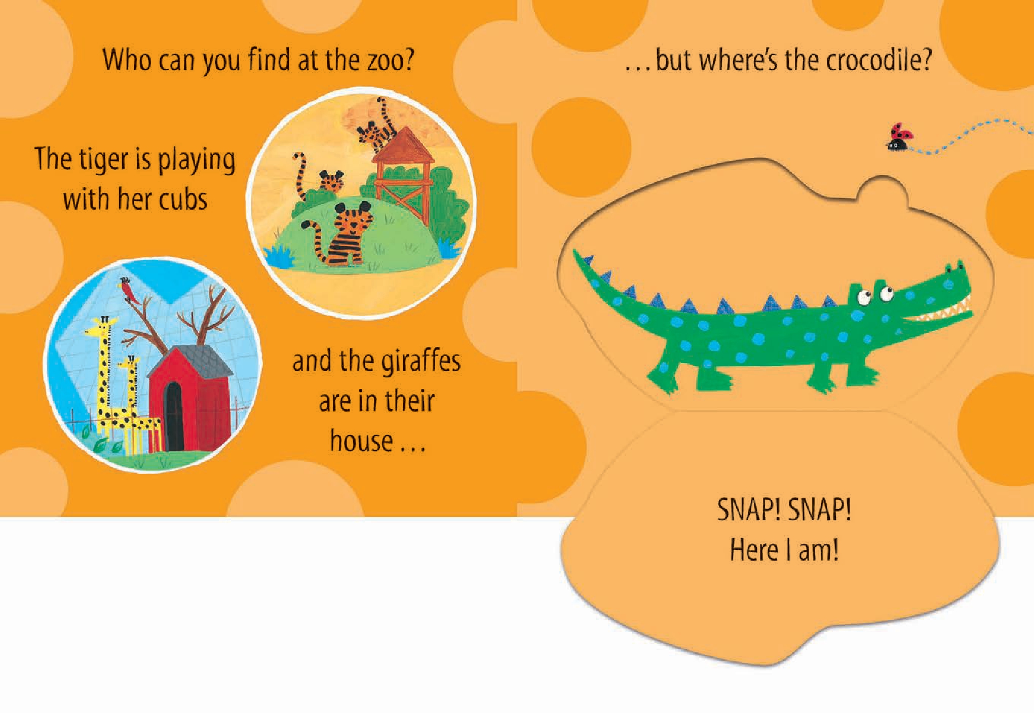 Who's at the Zoo? A What the Ladybird Heard Book