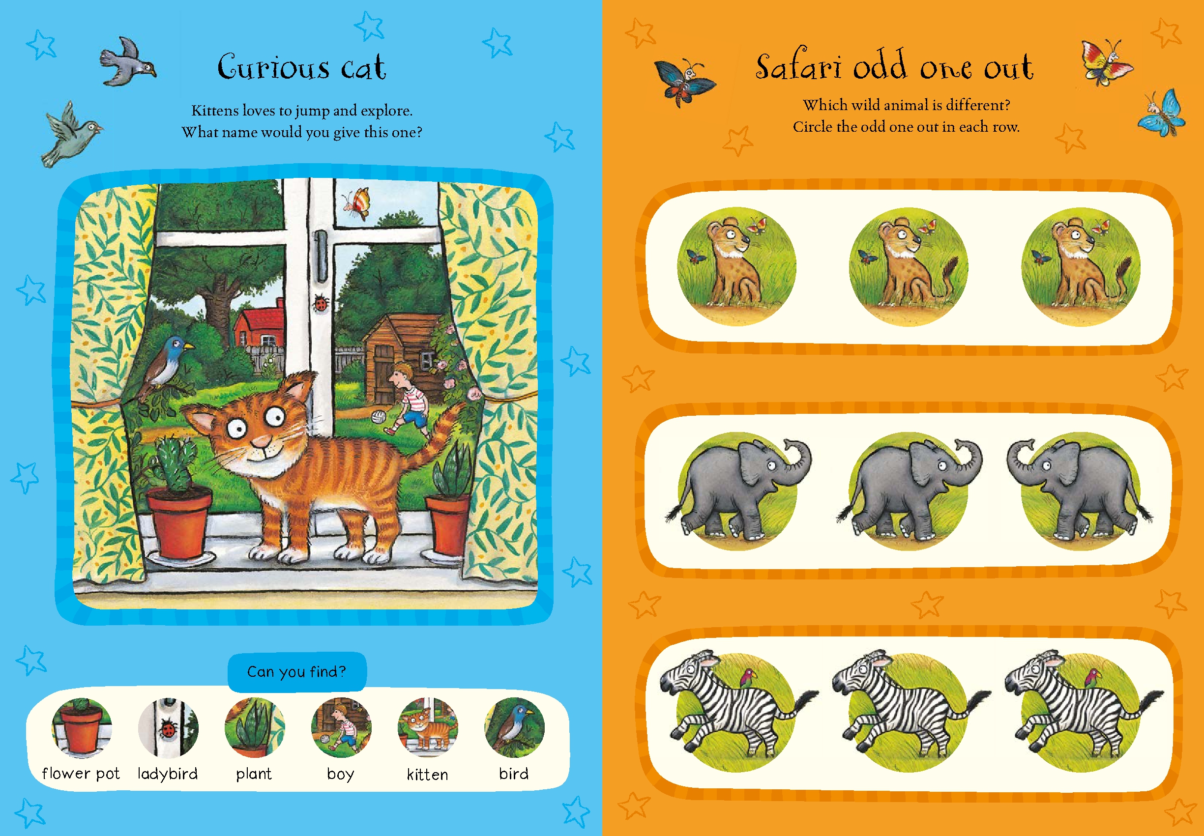 My Search and Find Activity Book