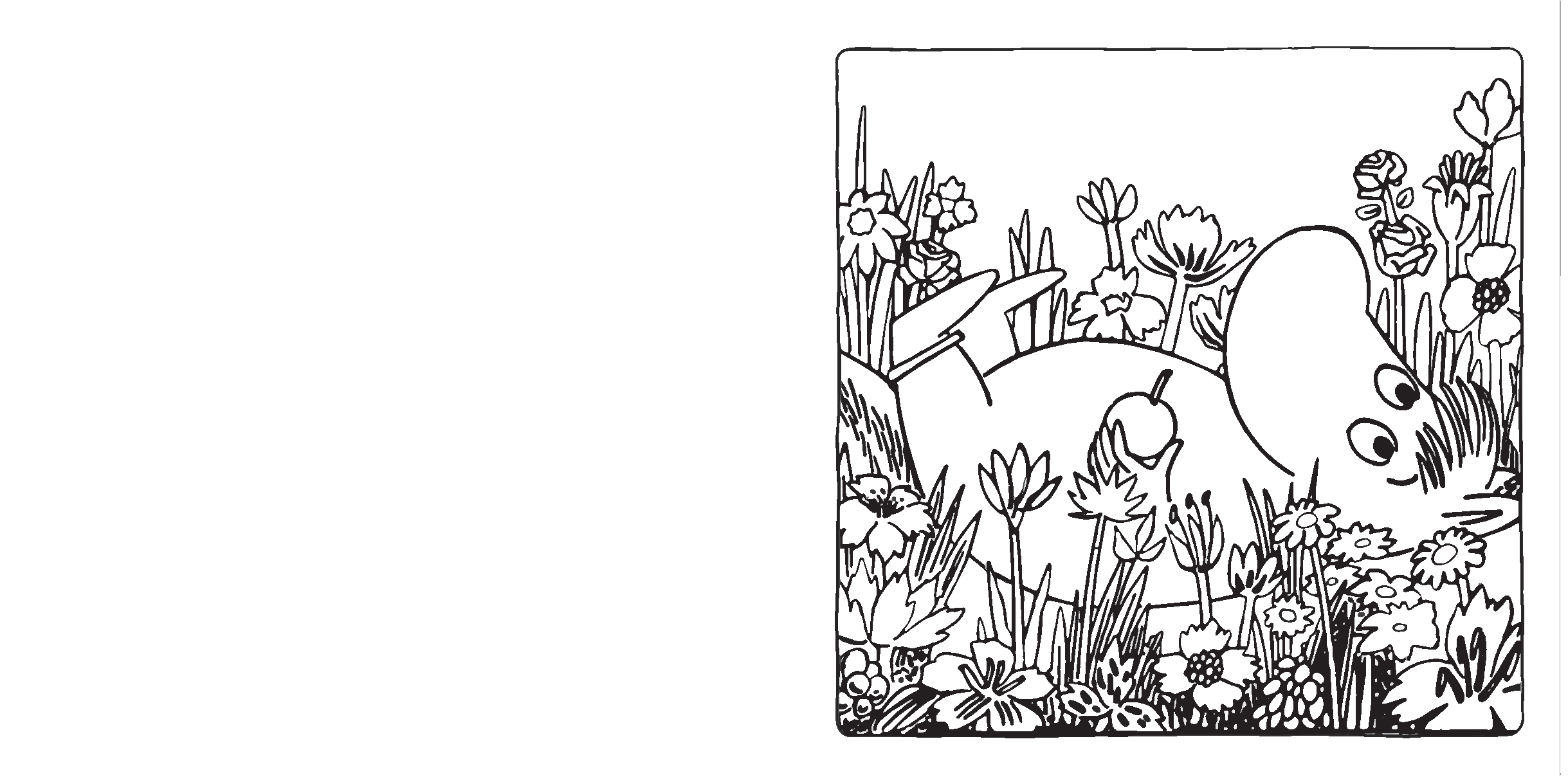 Moomin Blooms