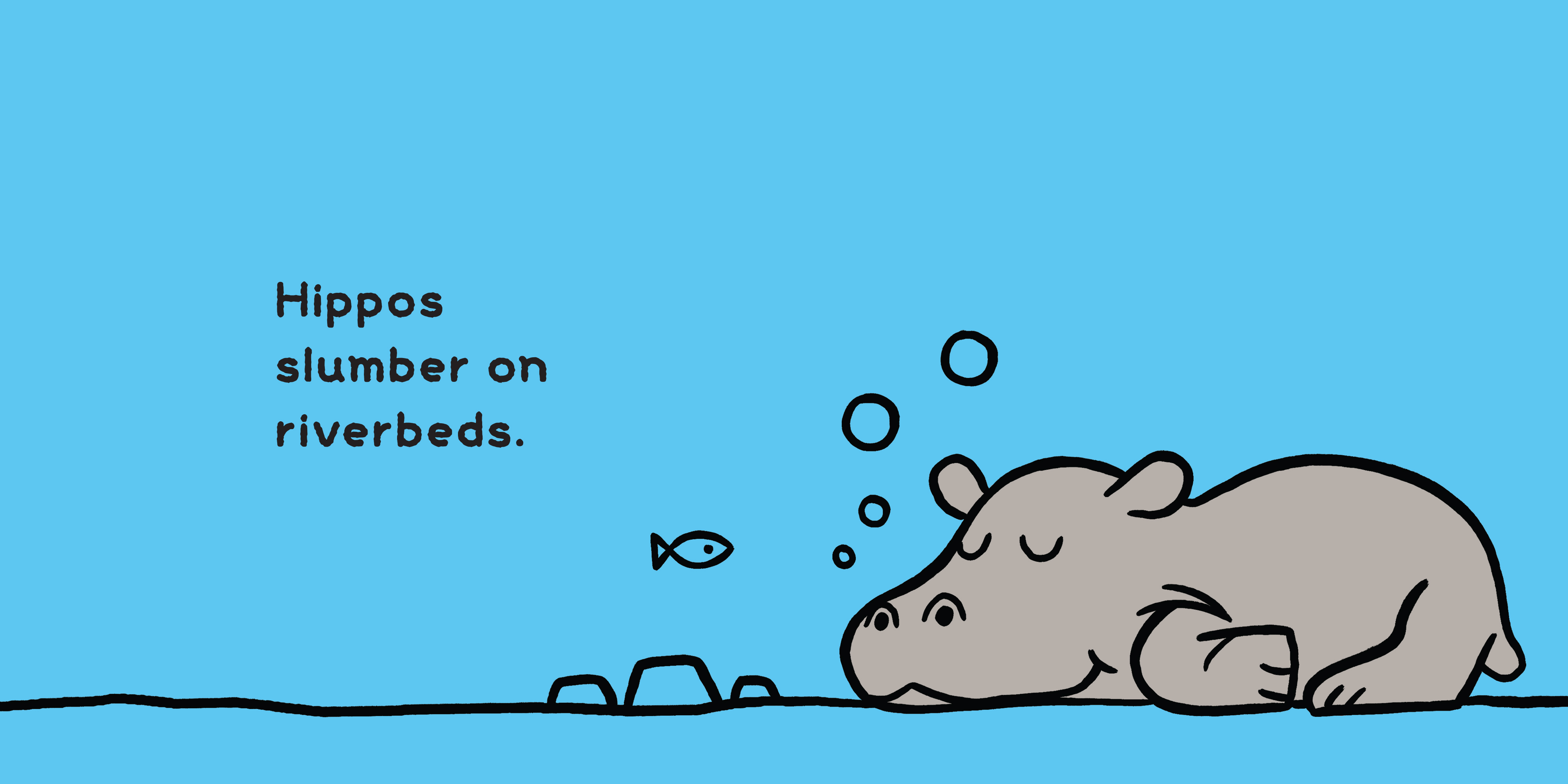 Where Do They Sleep?