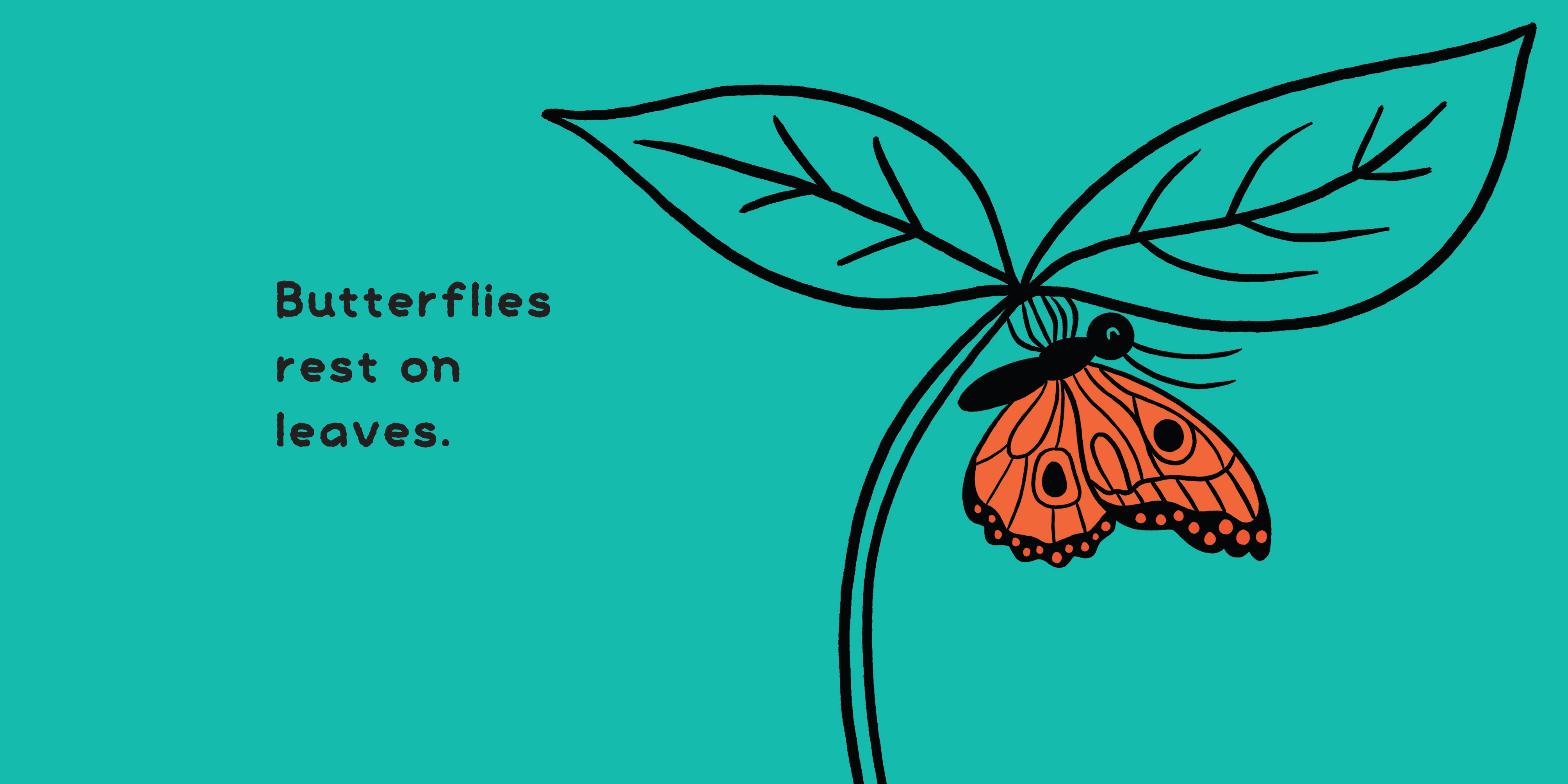 Where Do They Sleep?