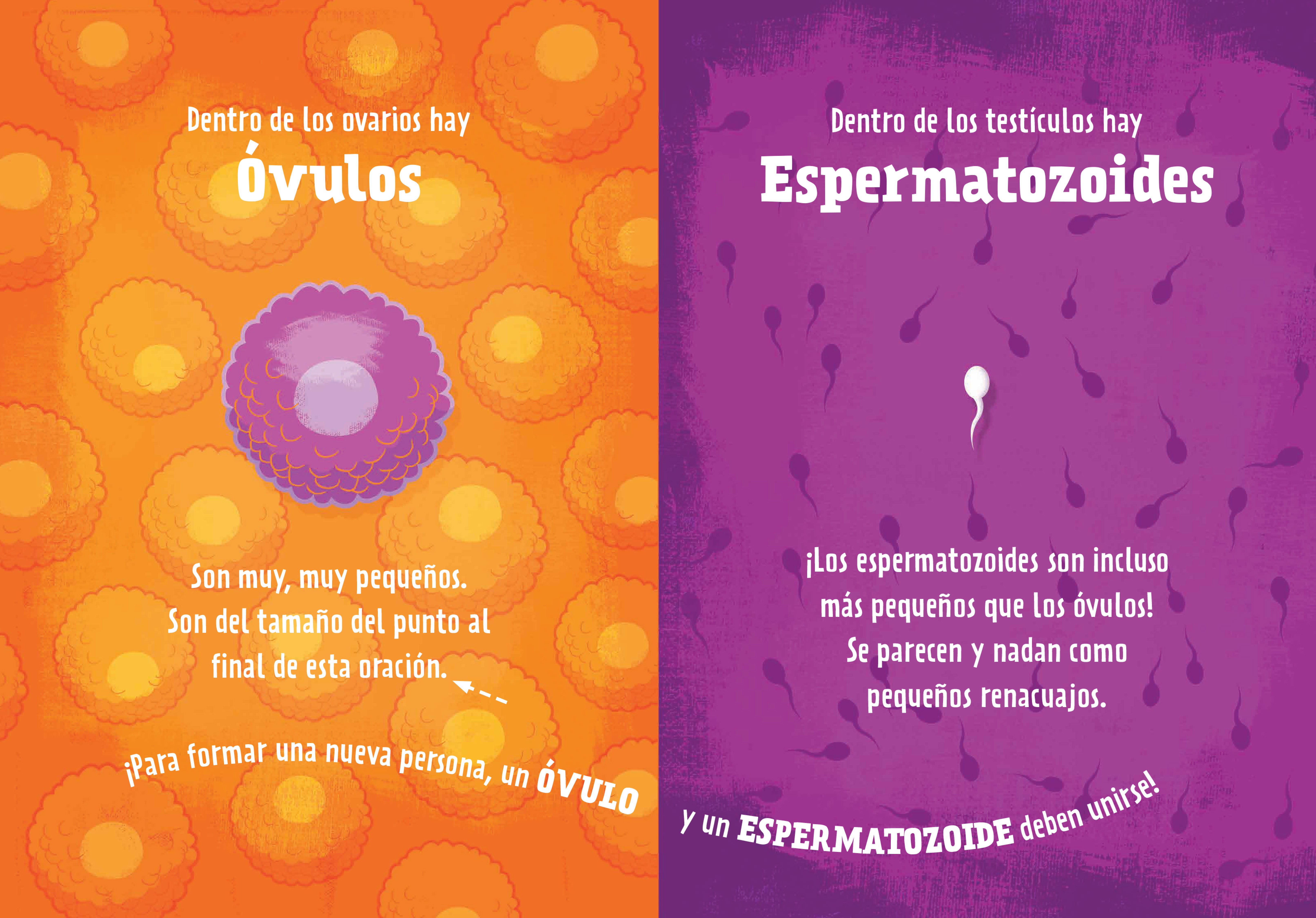La ciencia de los bebés