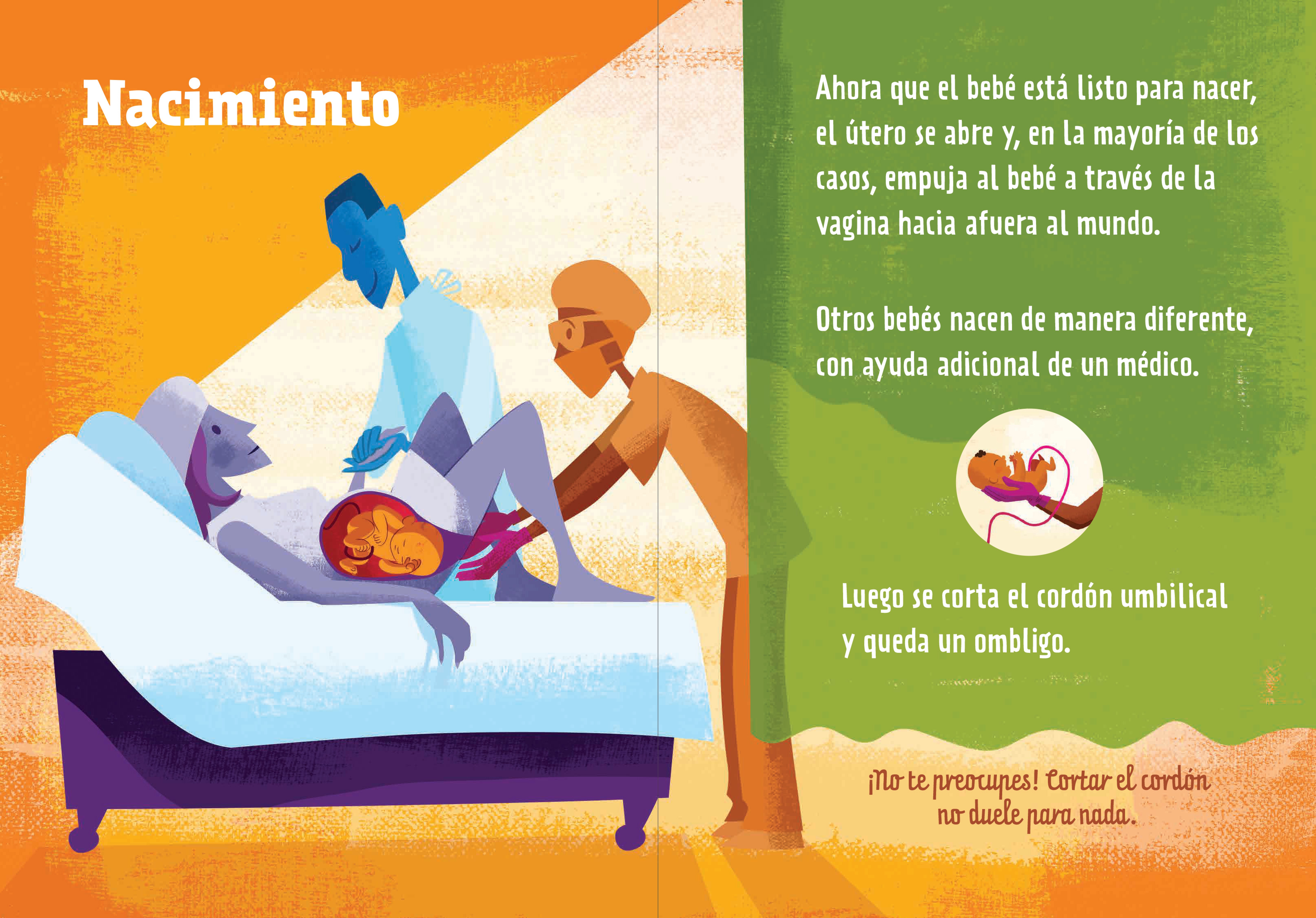 La ciencia de los bebés