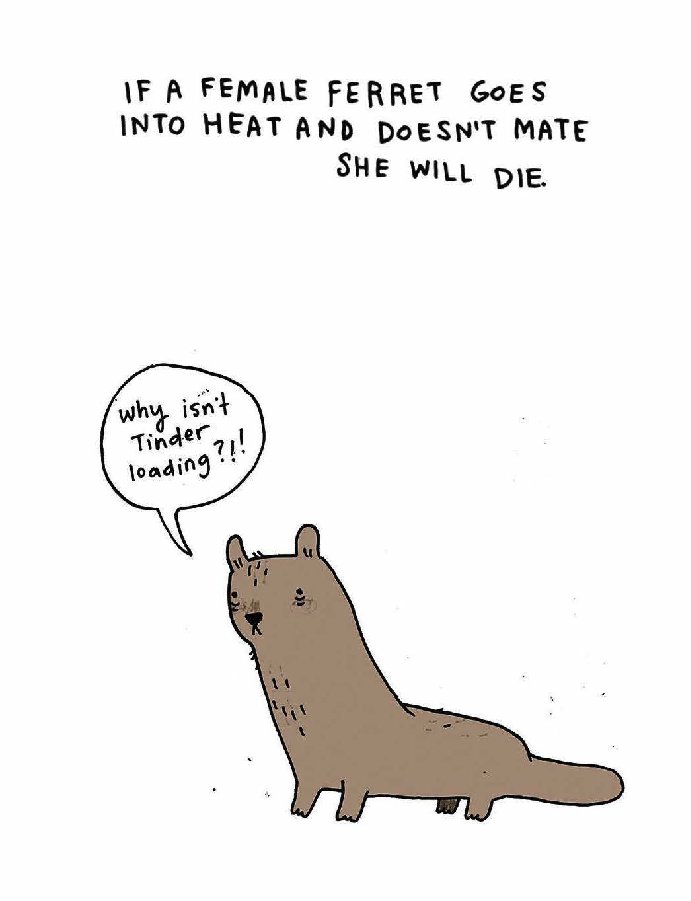 Sad Animal Facts