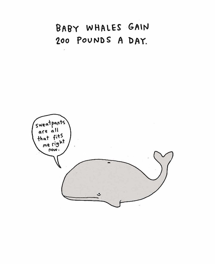 Sad Animal Facts