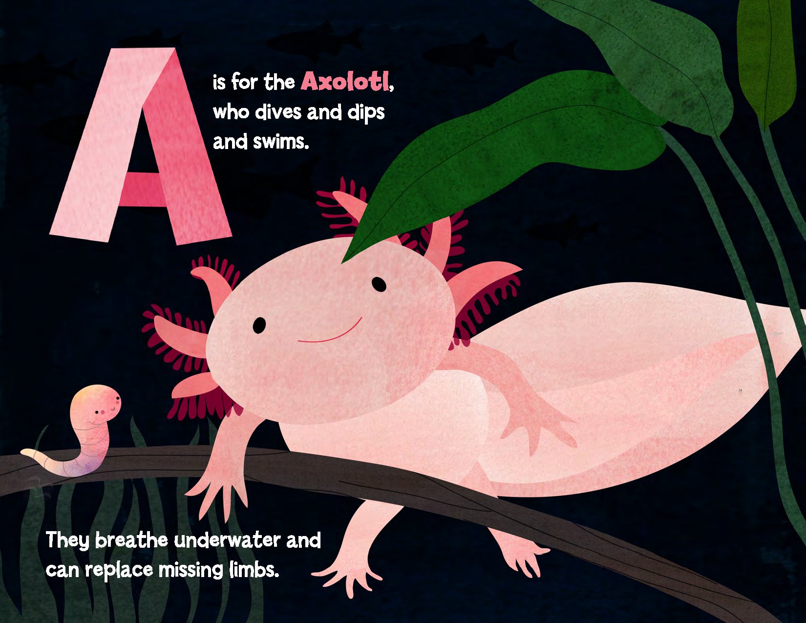 A Is for Axolotl: An Unusual Animal ABC