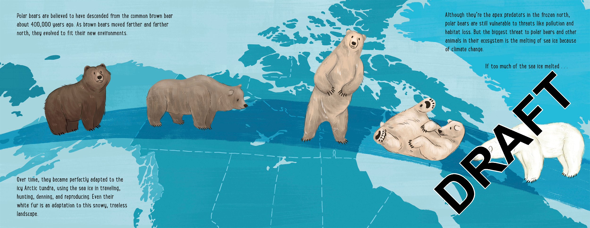 If Polar Bears Disappeared