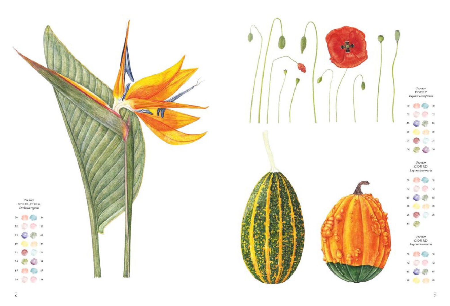Flowers: The Watercolor Art Pad