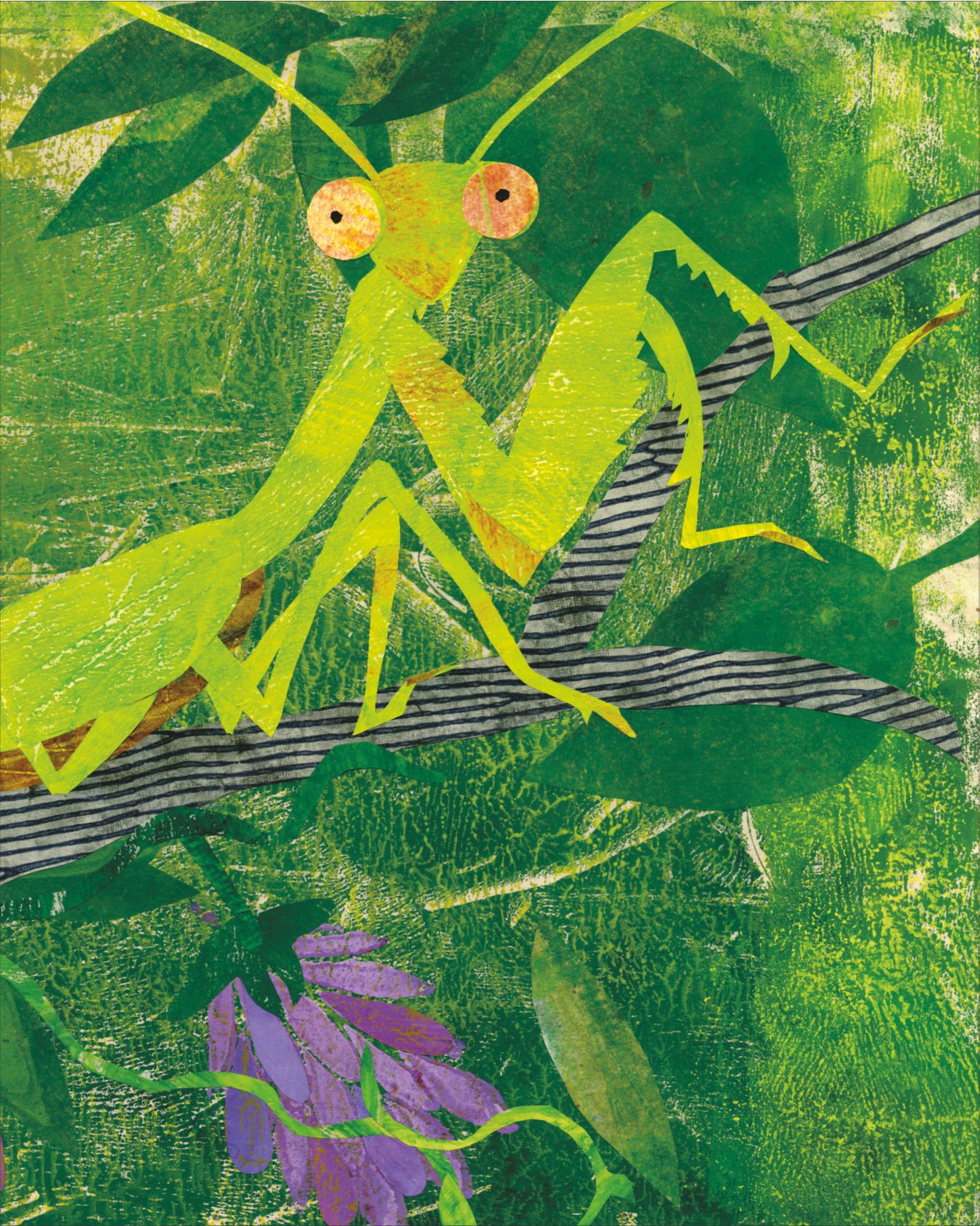 What's Your Favorite Bug?