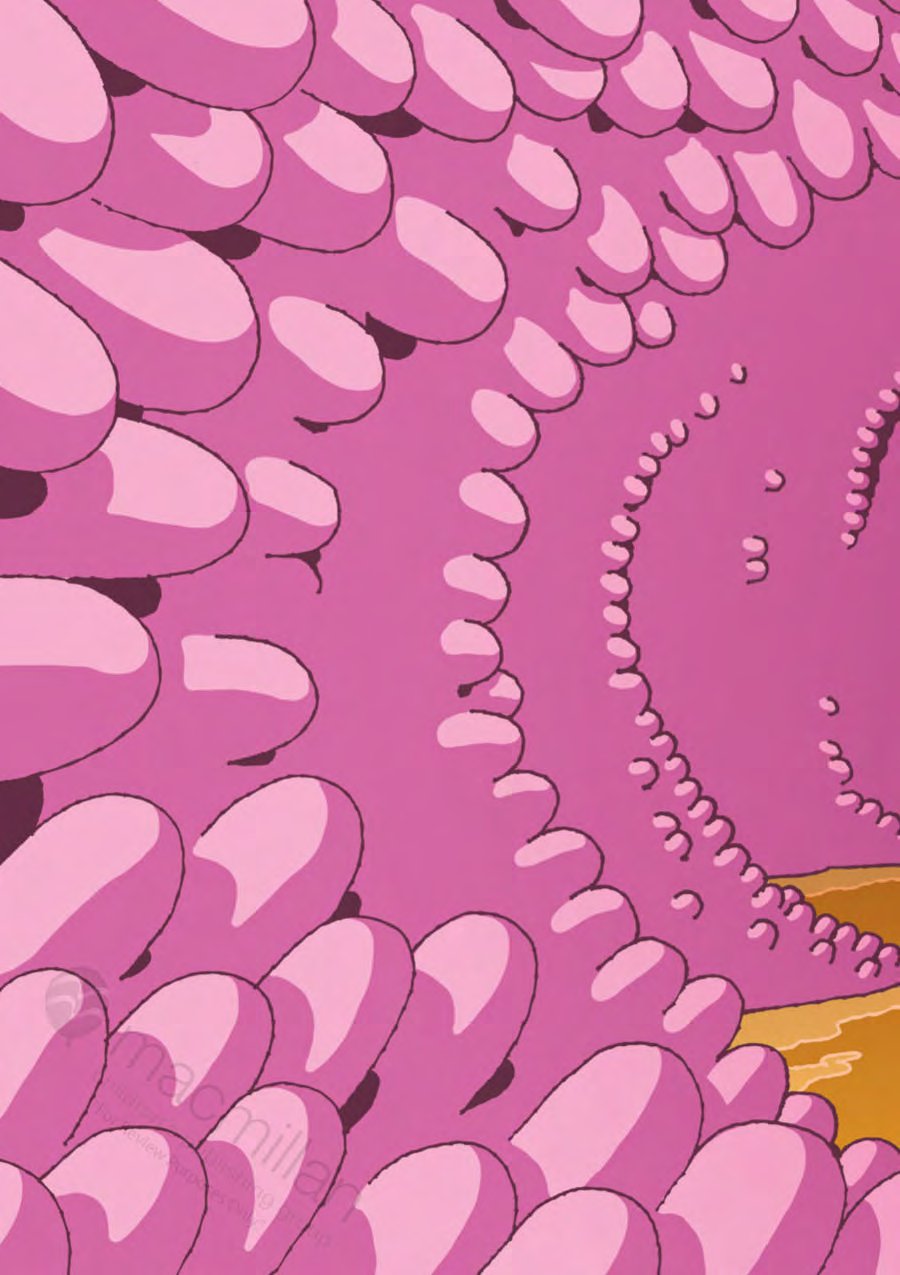 Science Comics: The Digestive System
