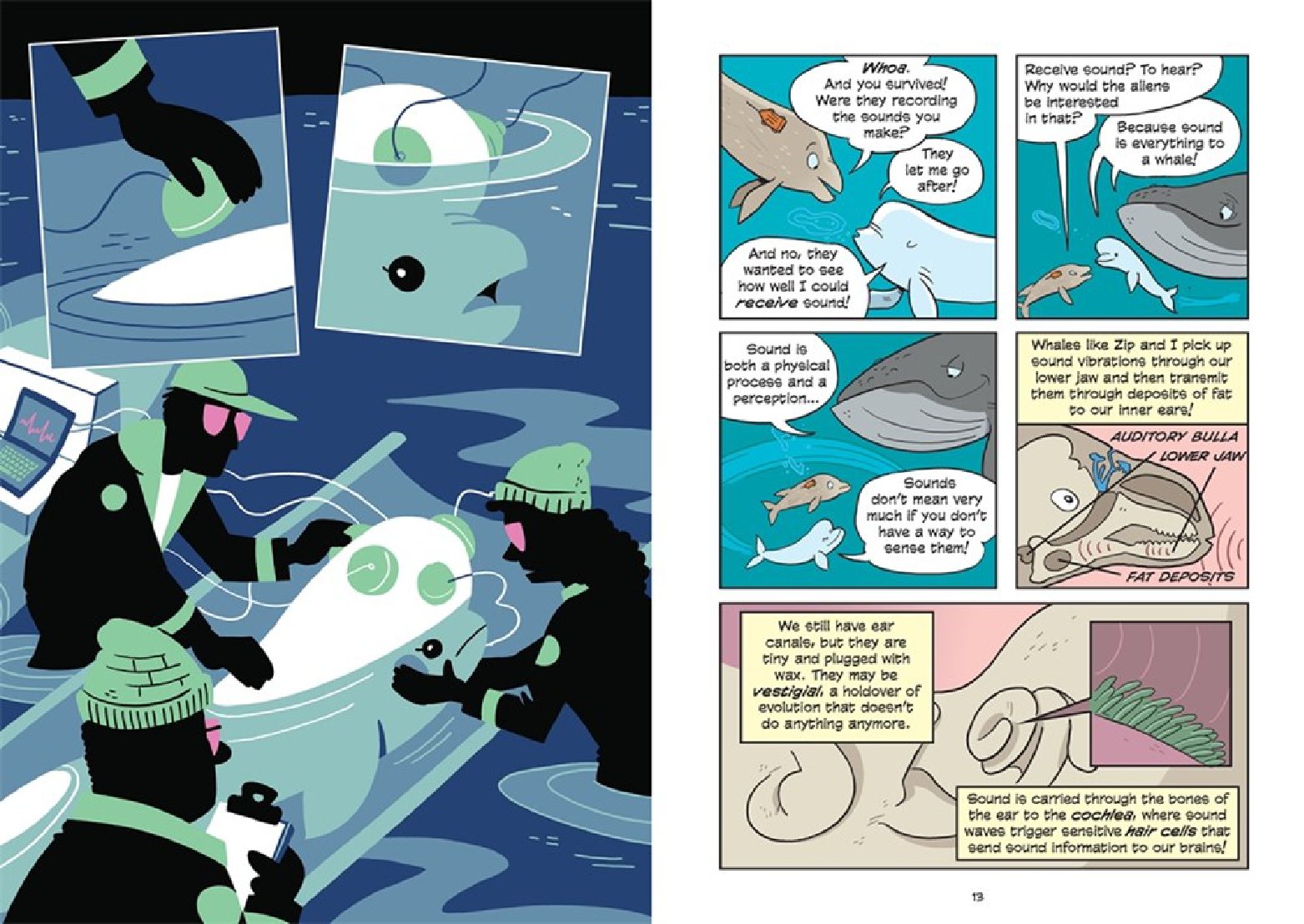 Science Comics: Whales