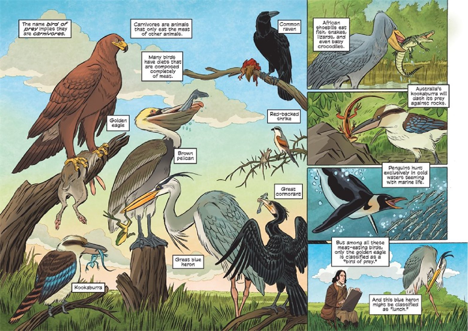 Science Comics: Birds of Prey