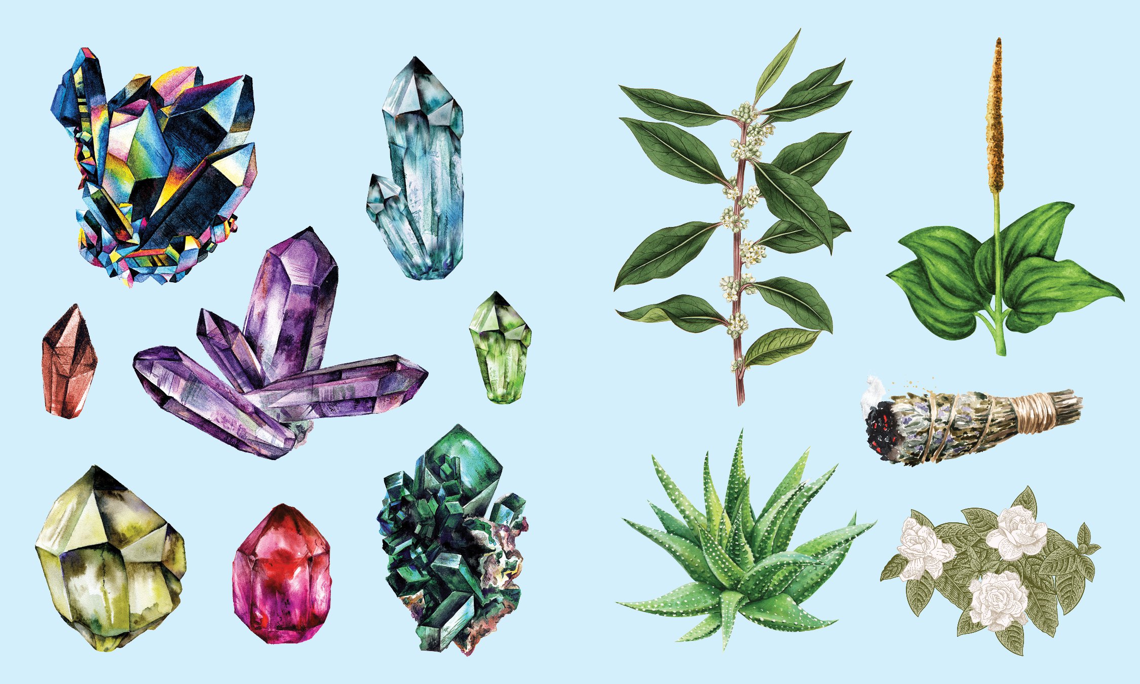 Sticker Studio: Apothecary