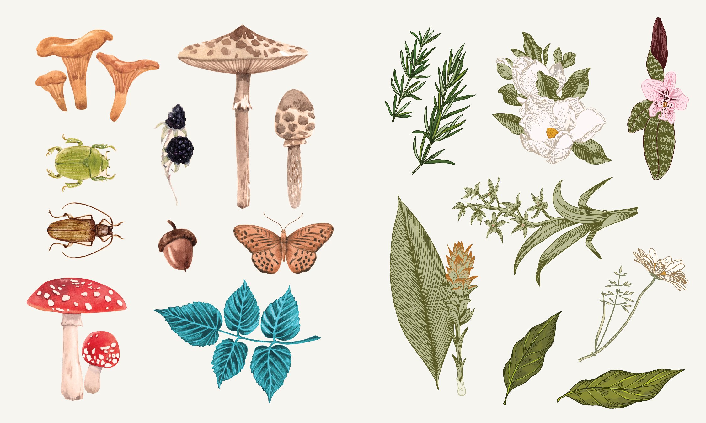 Sticker Studio: Apothecary