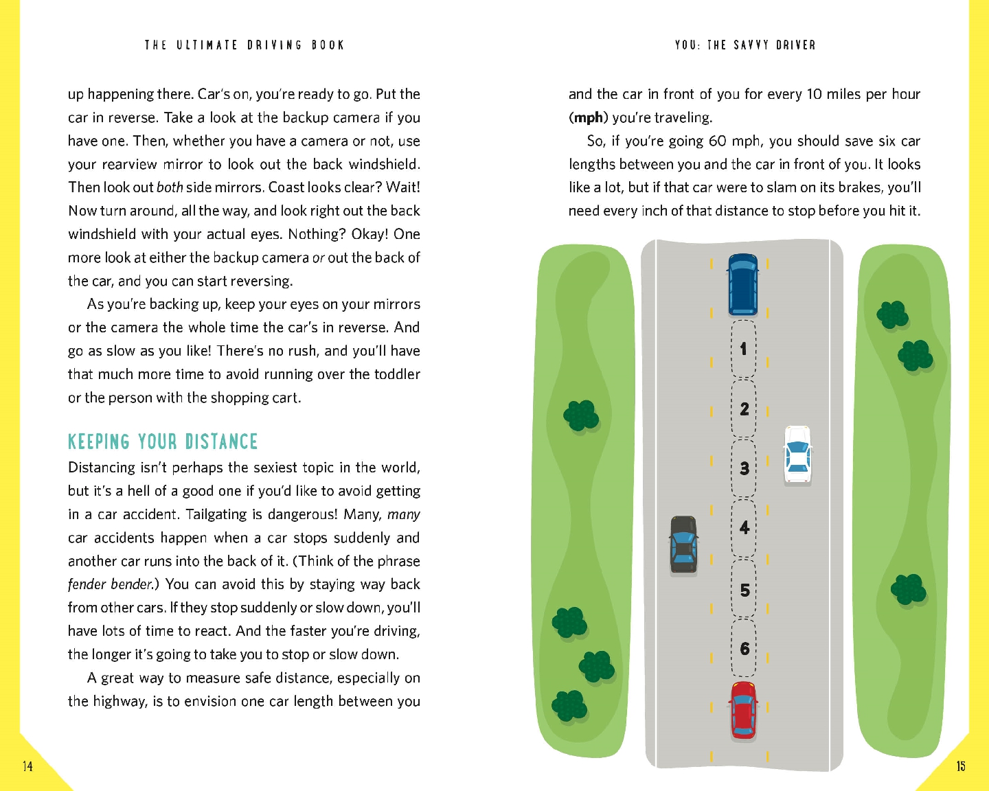 The Ultimate Driving Book