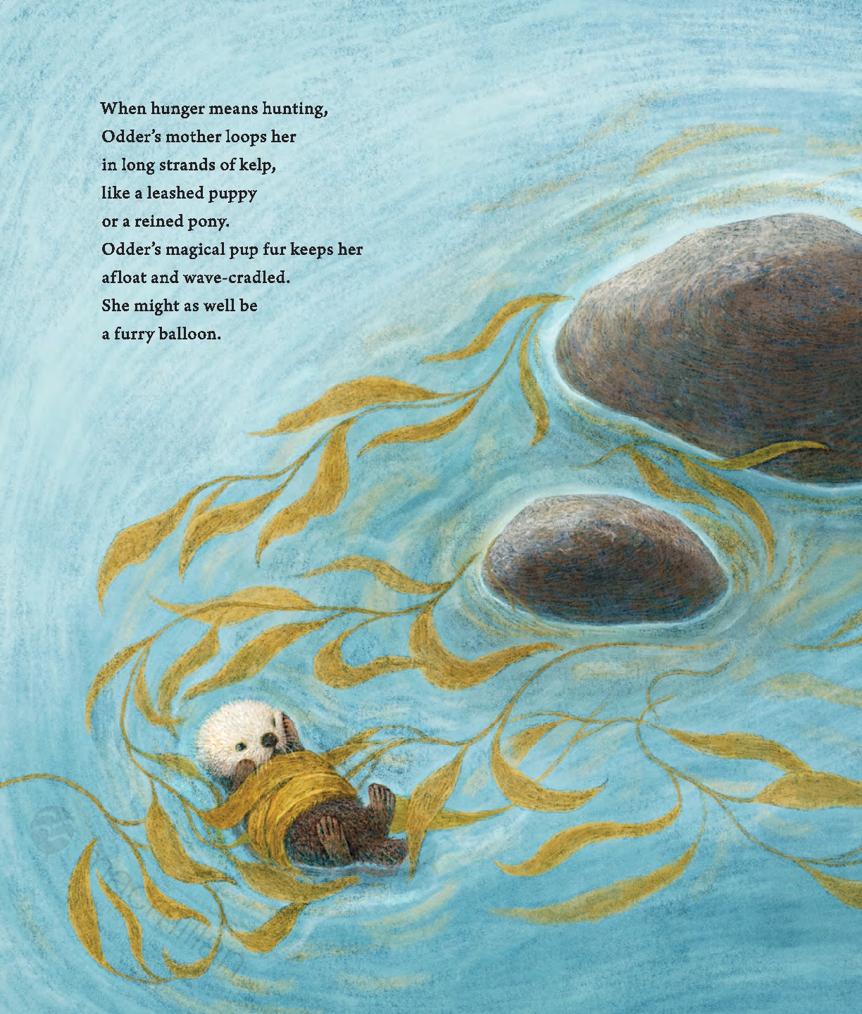Odder: An Otter's Story (Picture Book)