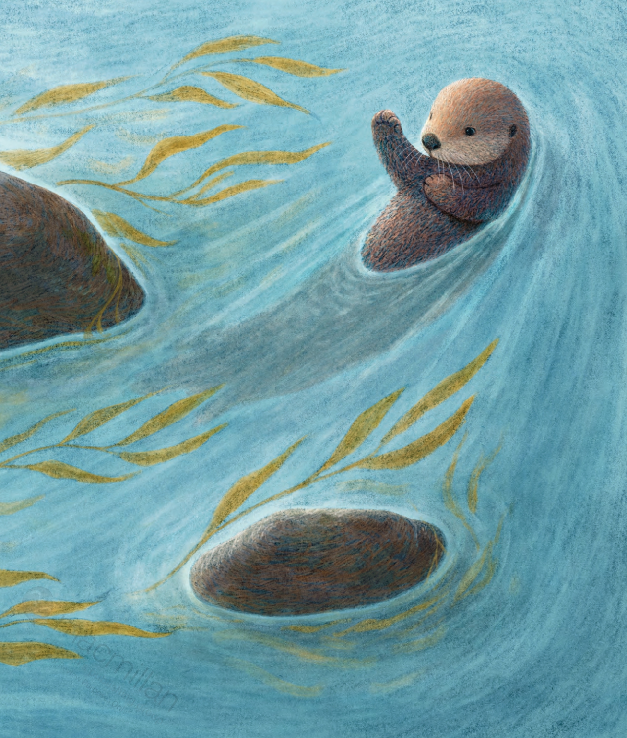 Odder: An Otter's Story (Picture Book)