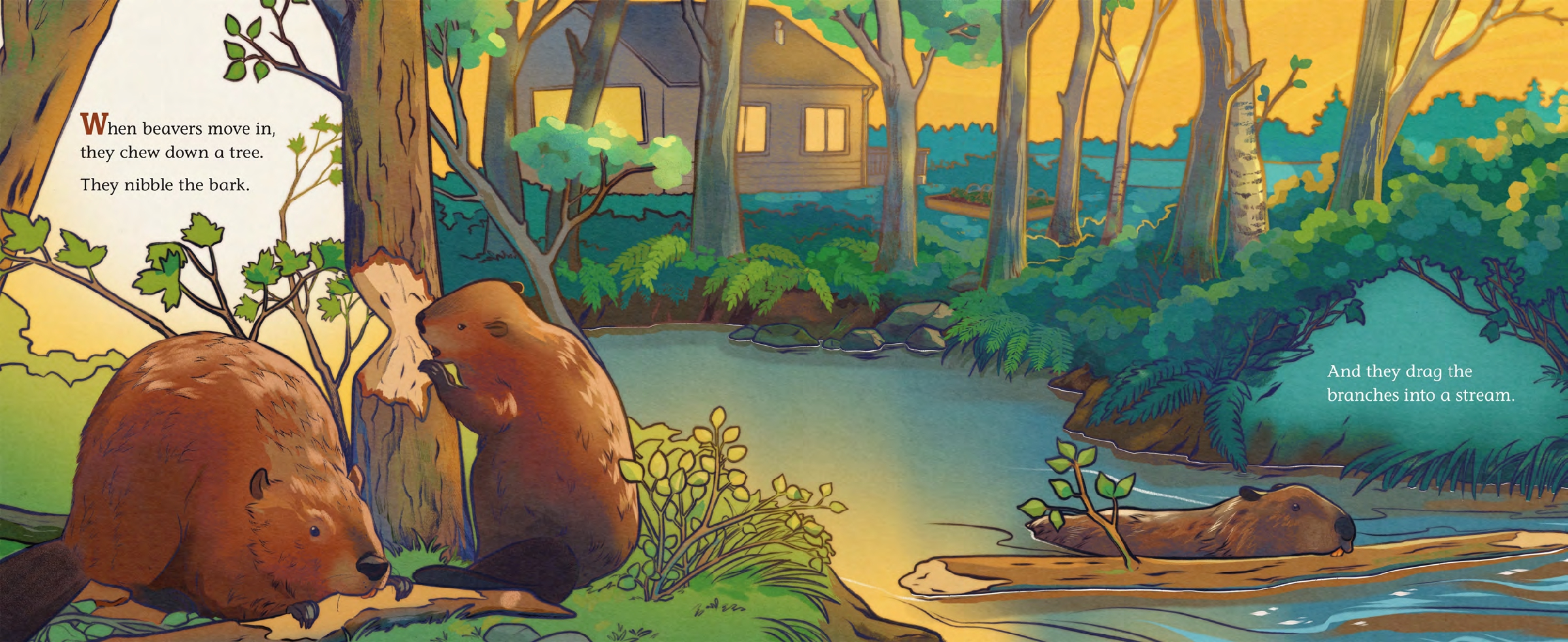 When Beavers Move In