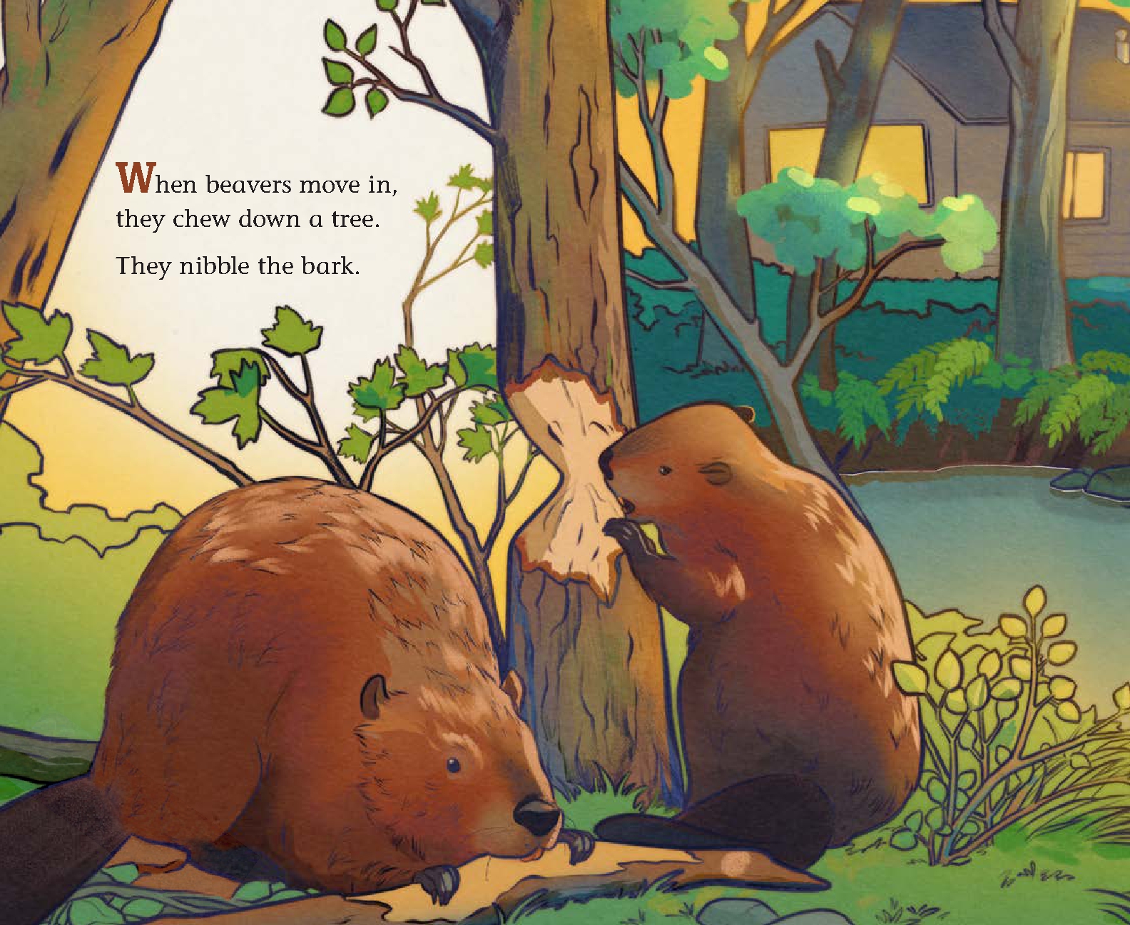 When Beavers Move In