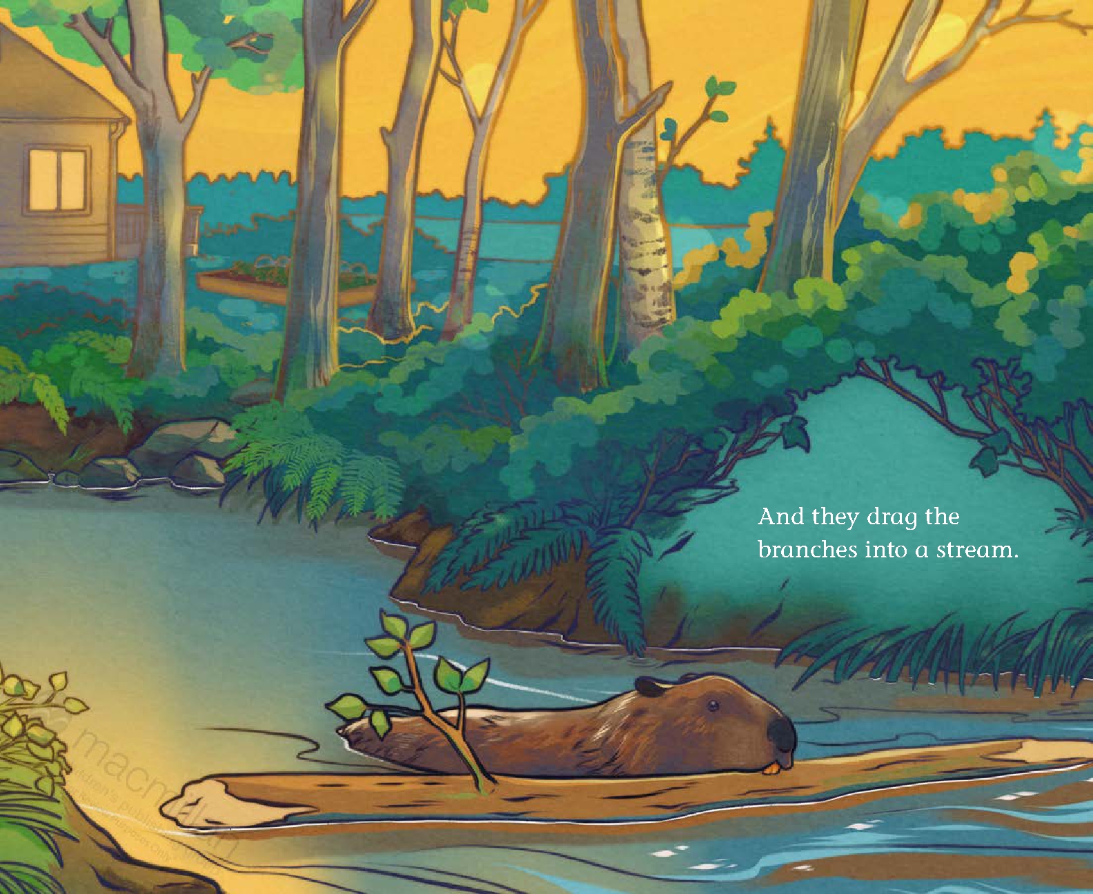 When Beavers Move In