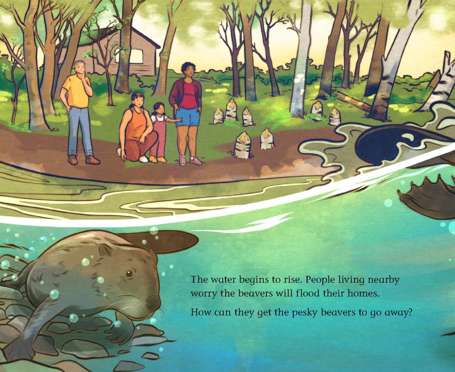 When Beavers Move In