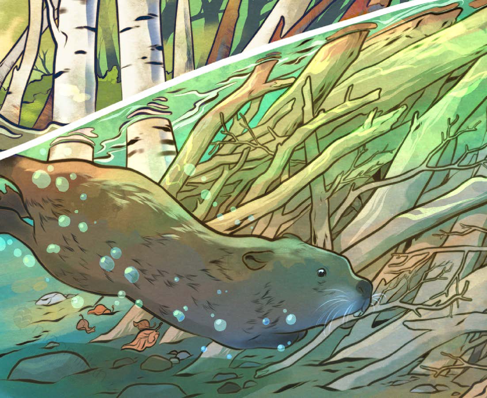 When Beavers Move In