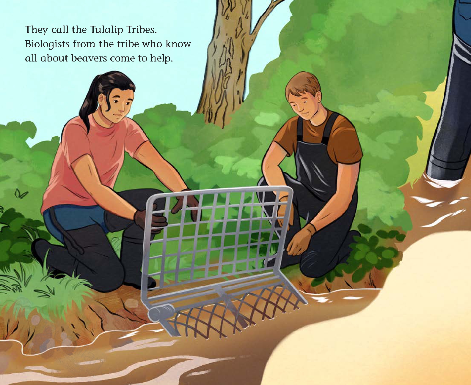 When Beavers Move In
