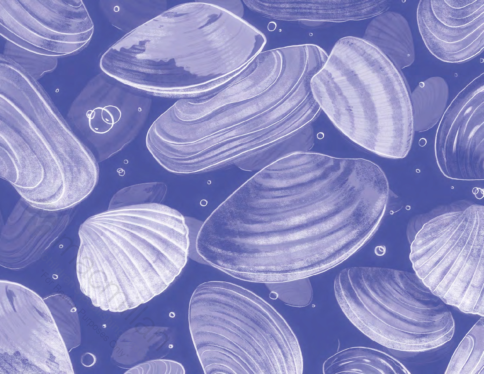 Under the Clam Moon