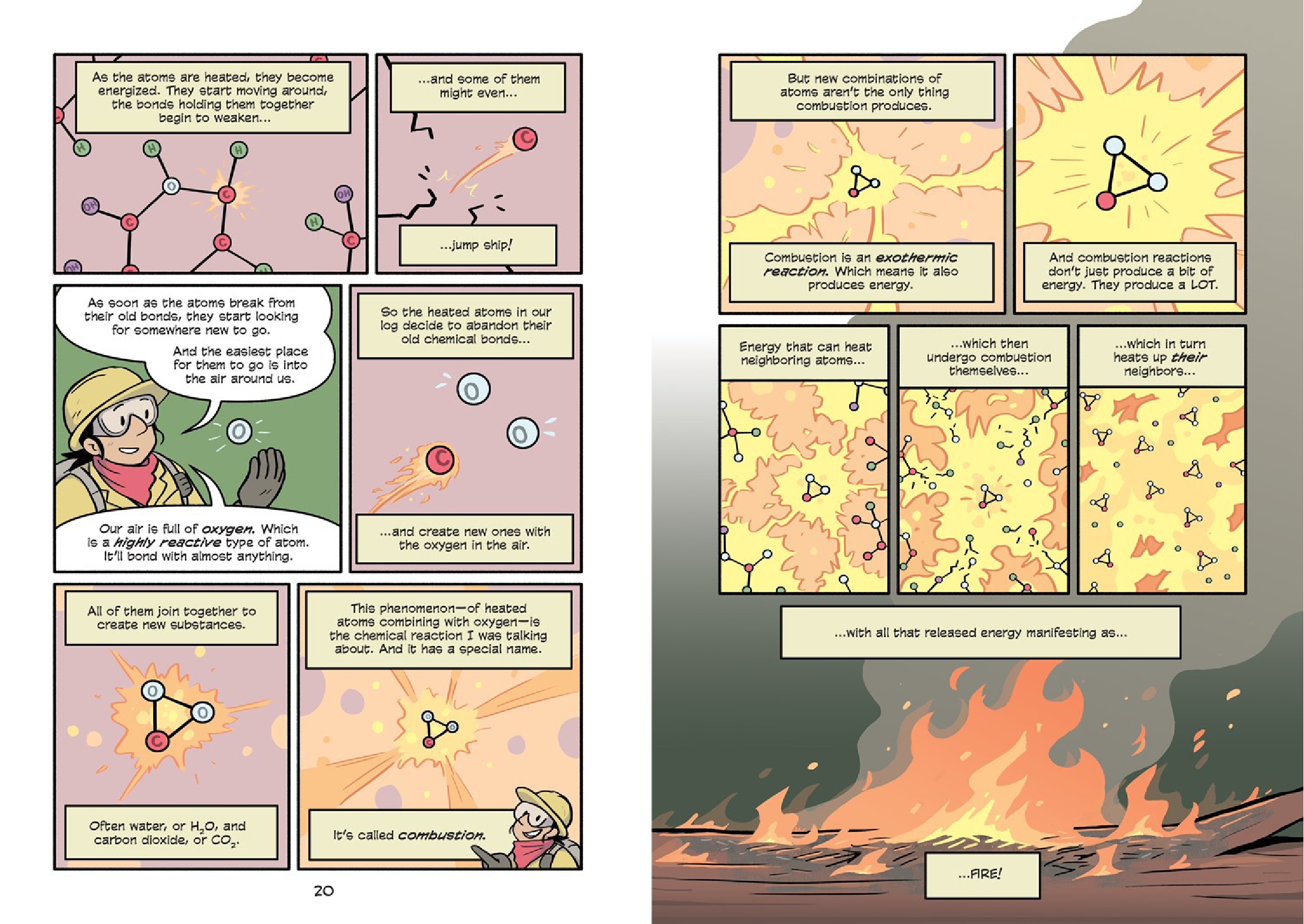 Science Comics: Wildfires