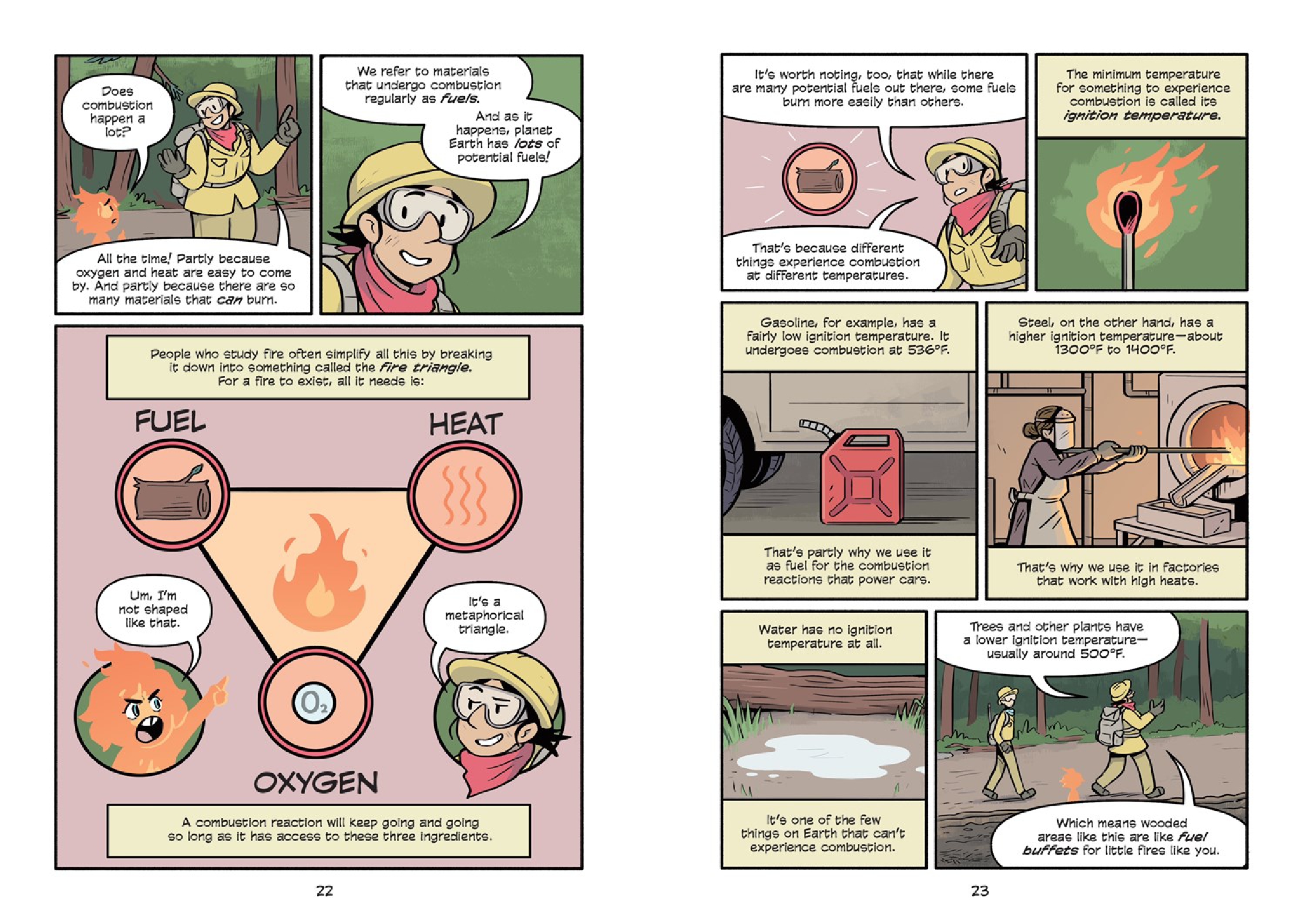 Science Comics: Wildfires