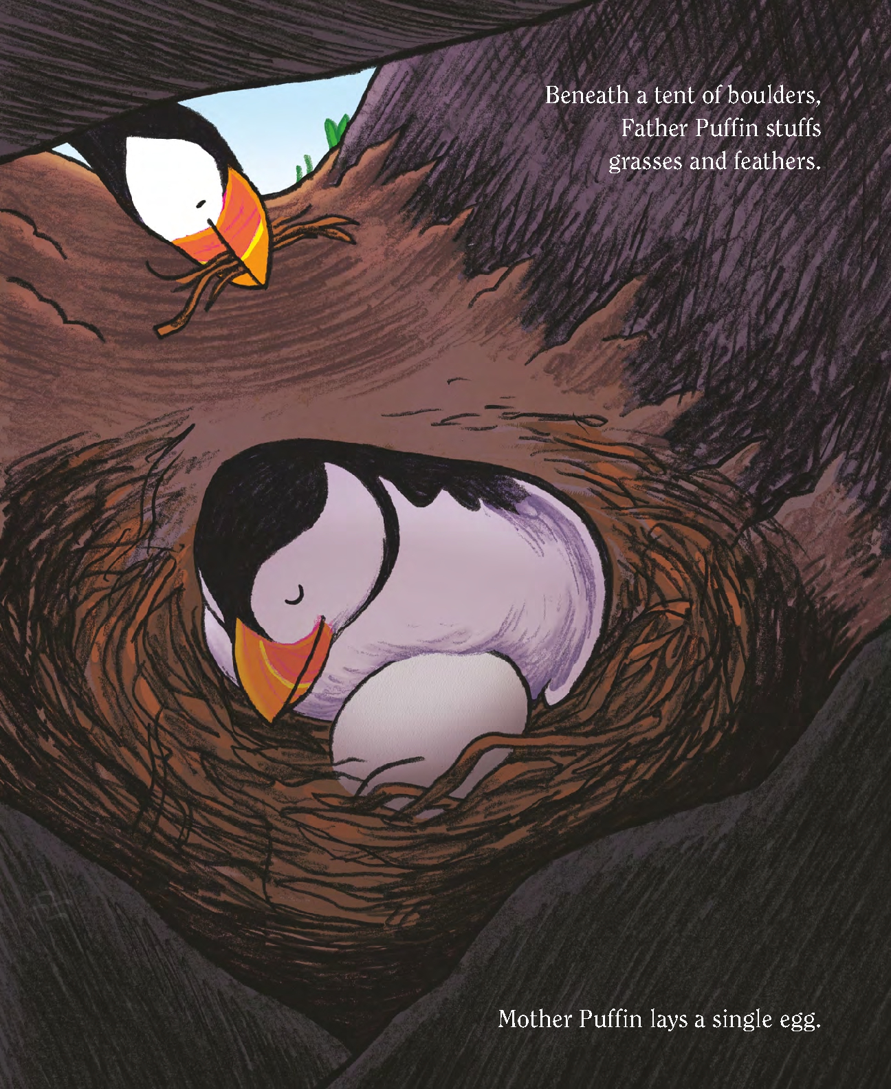 Puffins!