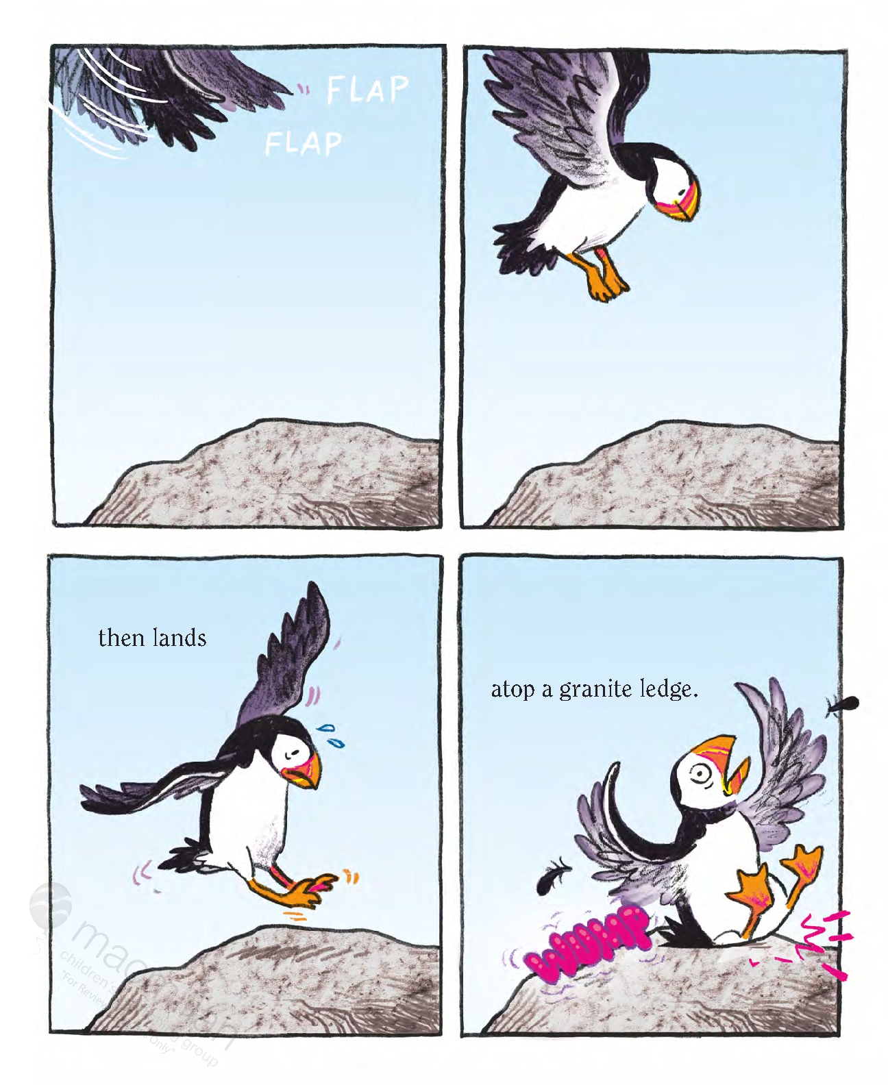 Puffins!