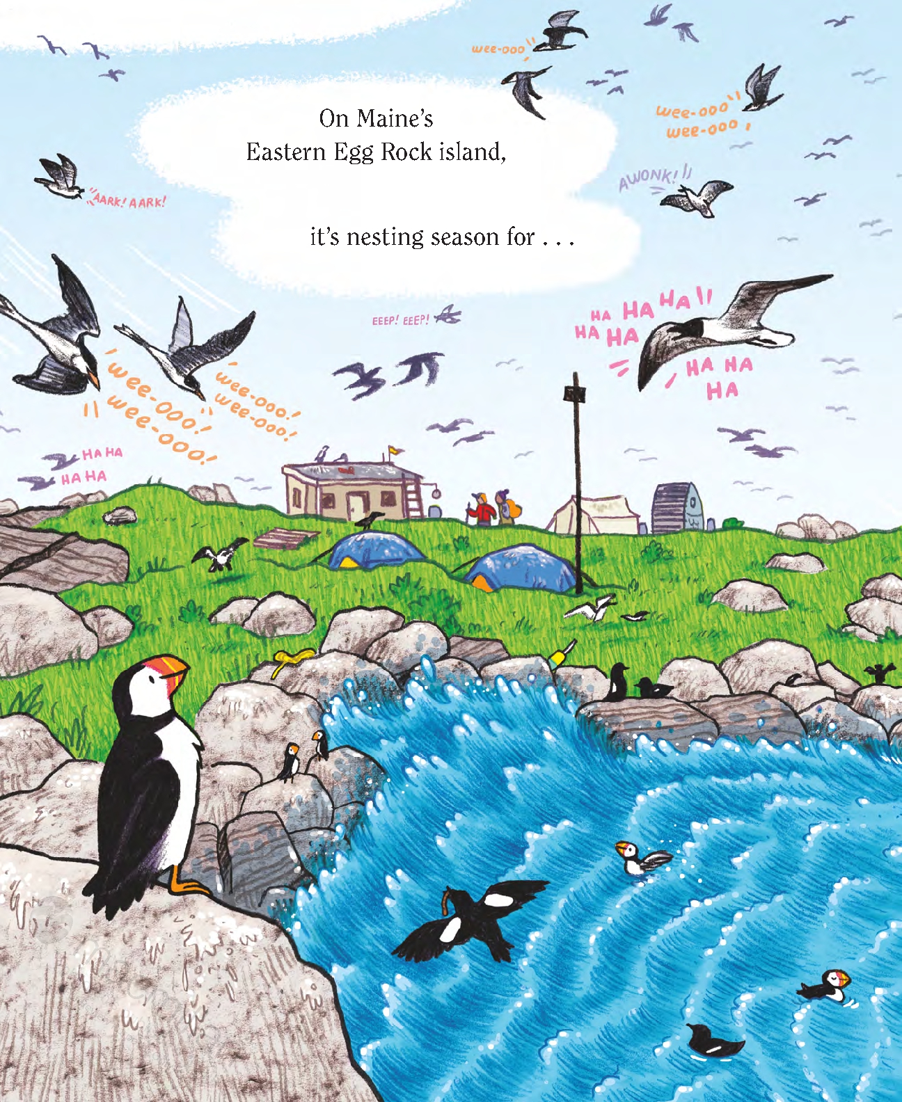 Puffins!