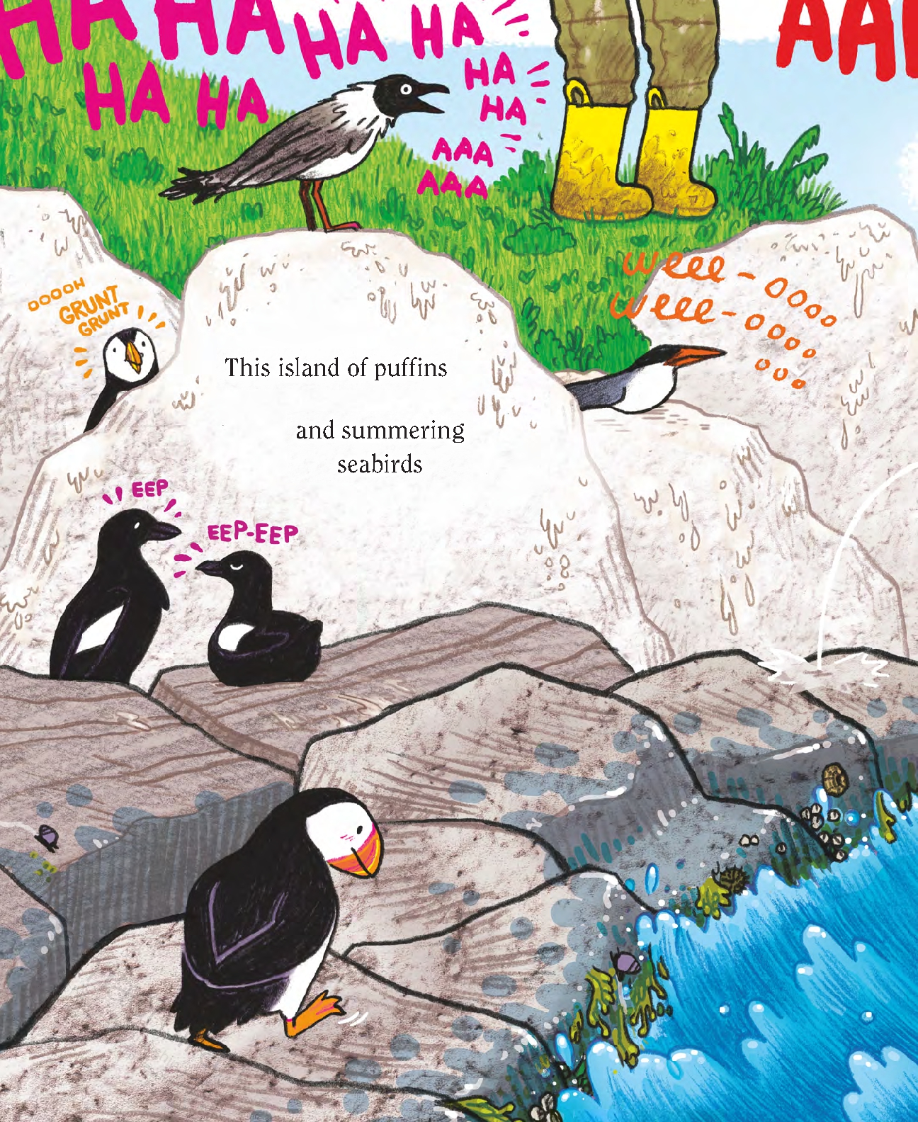 Puffins!