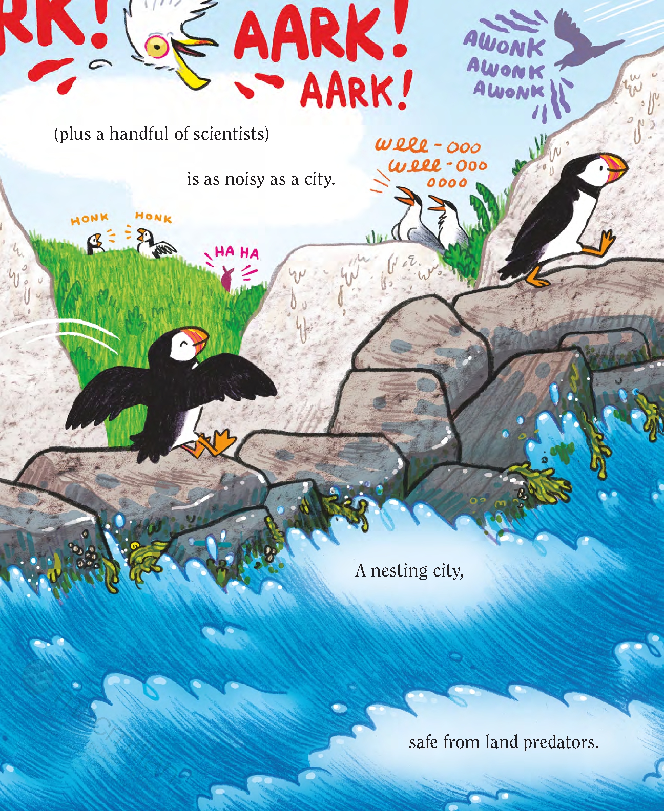 Puffins!