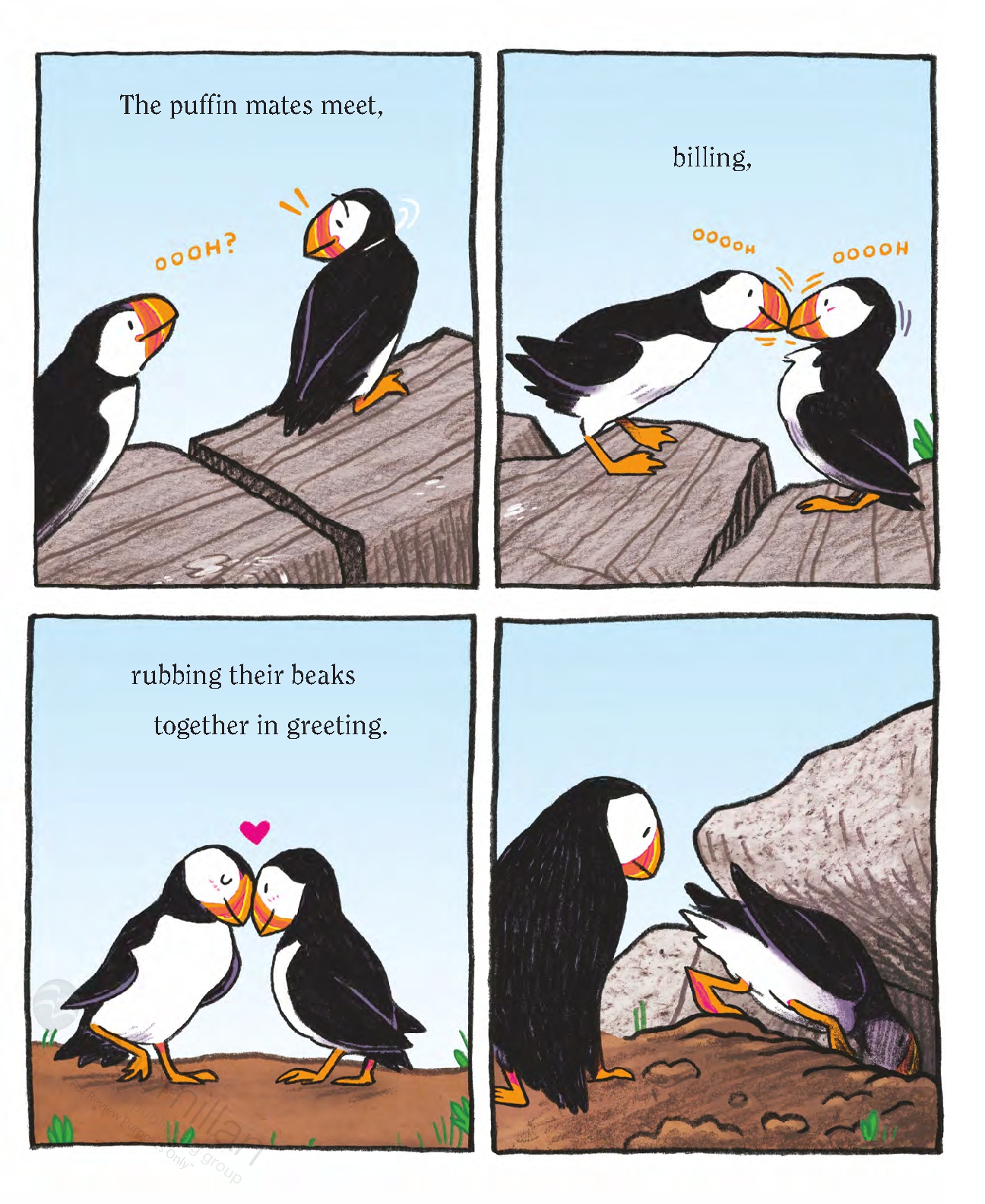 Puffins!