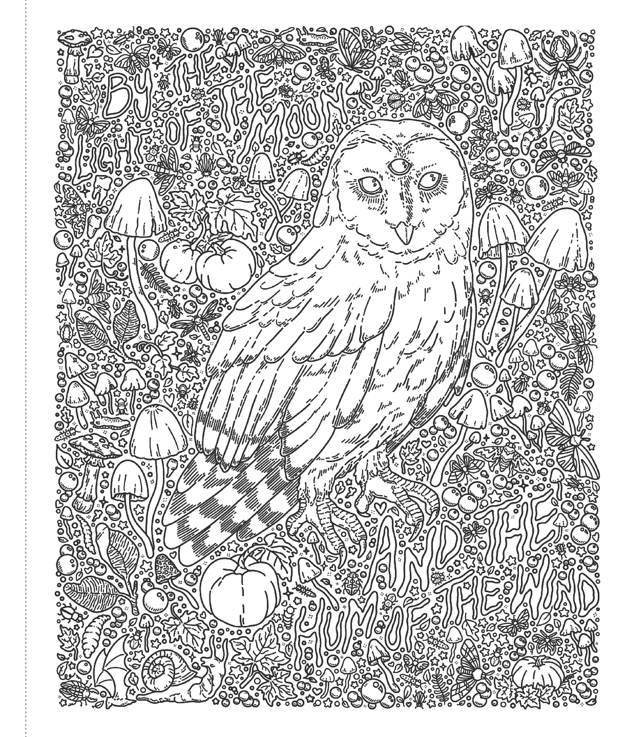 The Spooky Doodle Club Coloring Book
