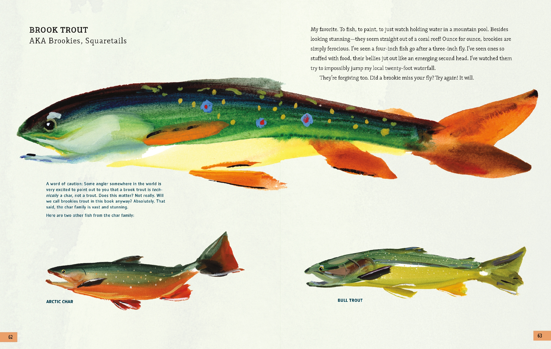 The Fly Fishing Book