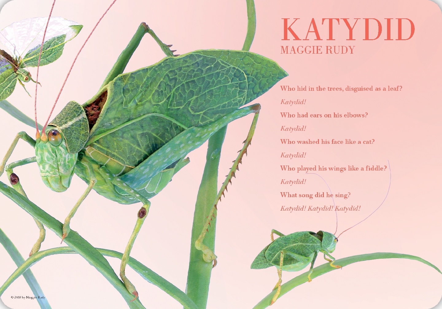 What's Your Favorite Bug?