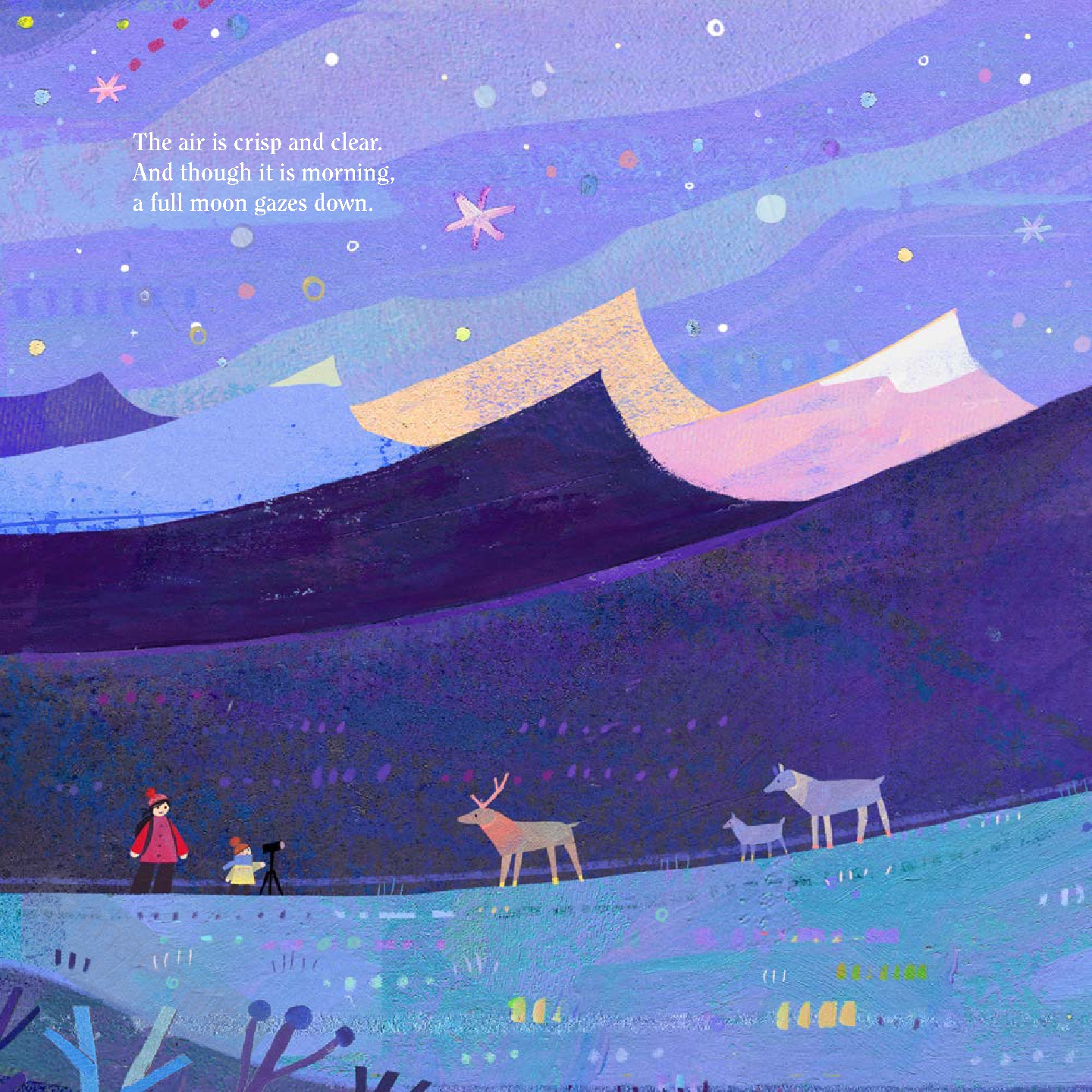 Arctic Adventure: A Tundra Tale